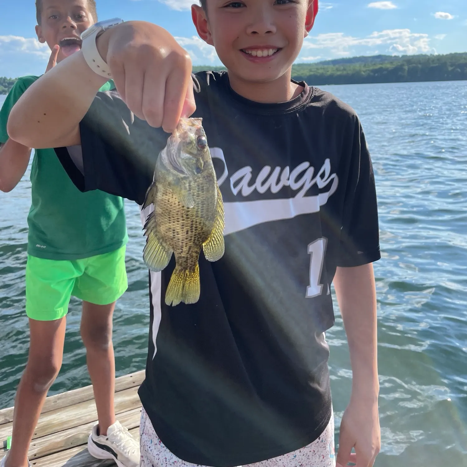 Rock bass caught on Fishbrain