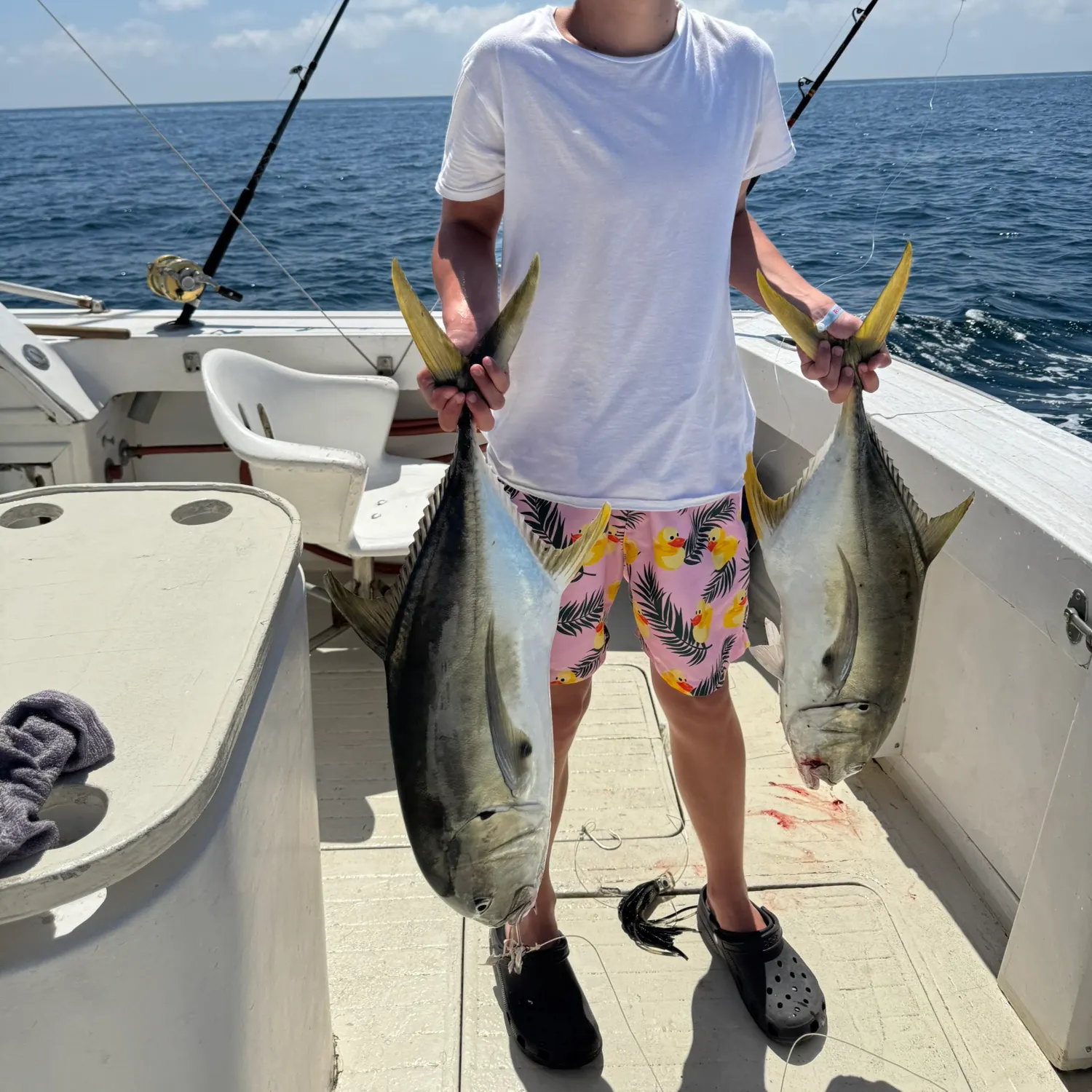 The most recent Yellowfin tuna catches on Fishbrain
