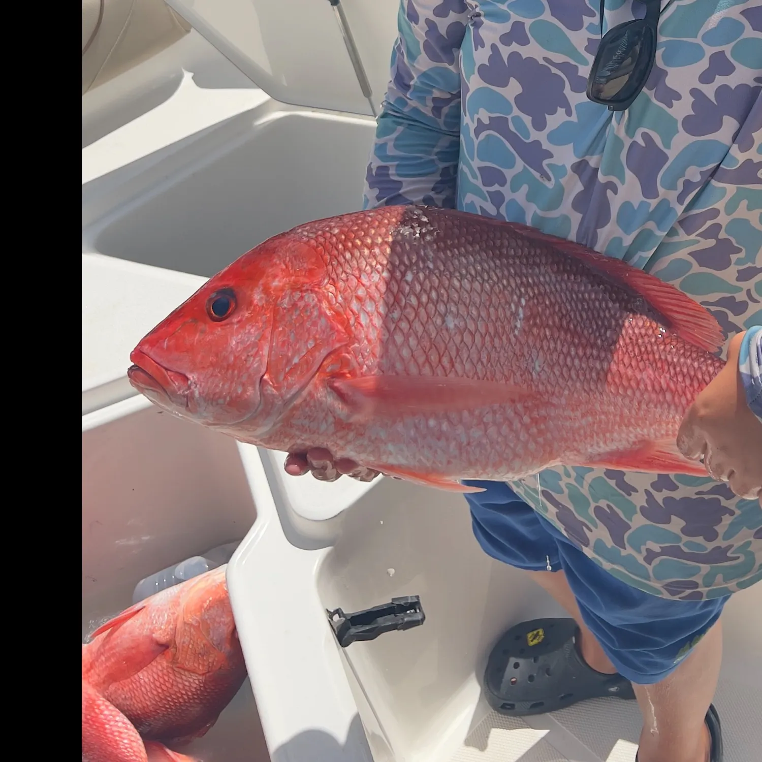 The most recent Northern red snapper catches on Fishbrain