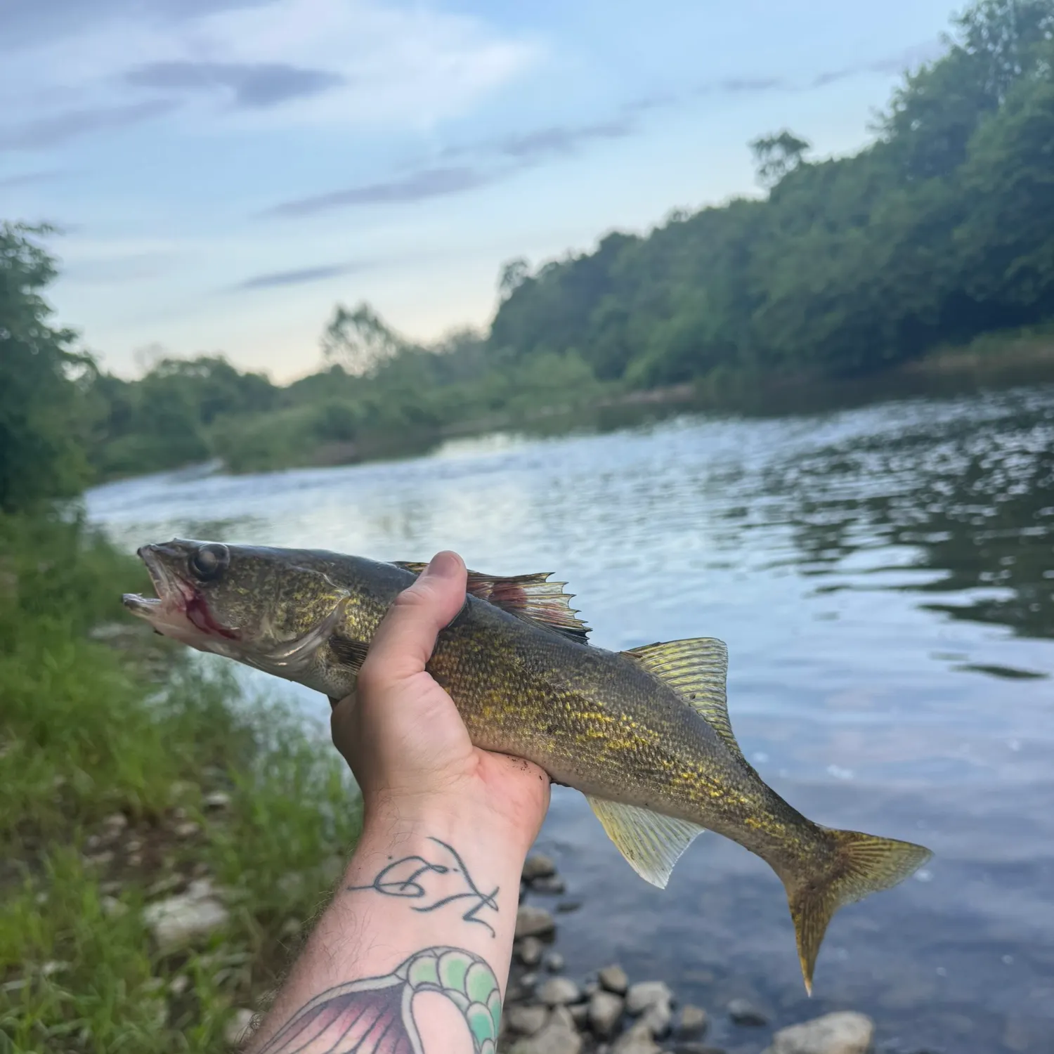 catch