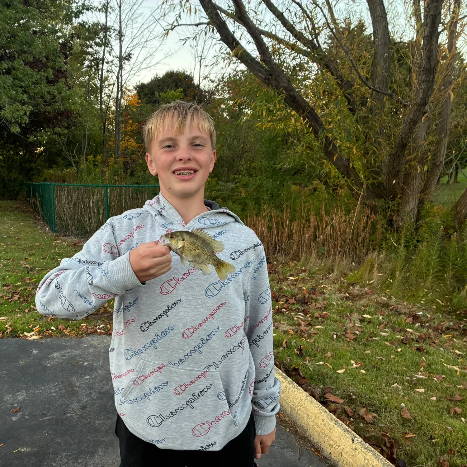 Rock bass caught on Fishbrain