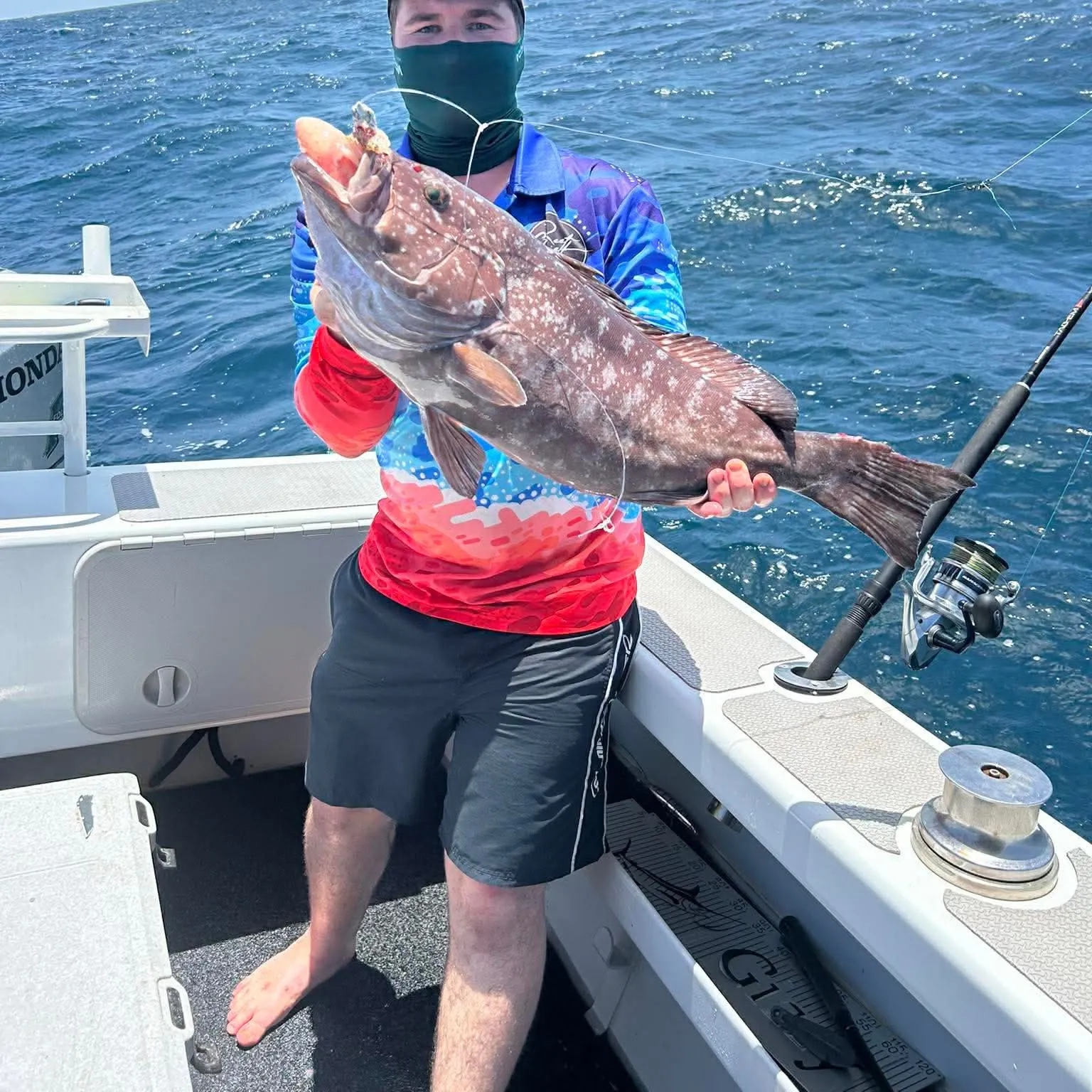 The most recent White-blotched grouper catches on Fishbrain