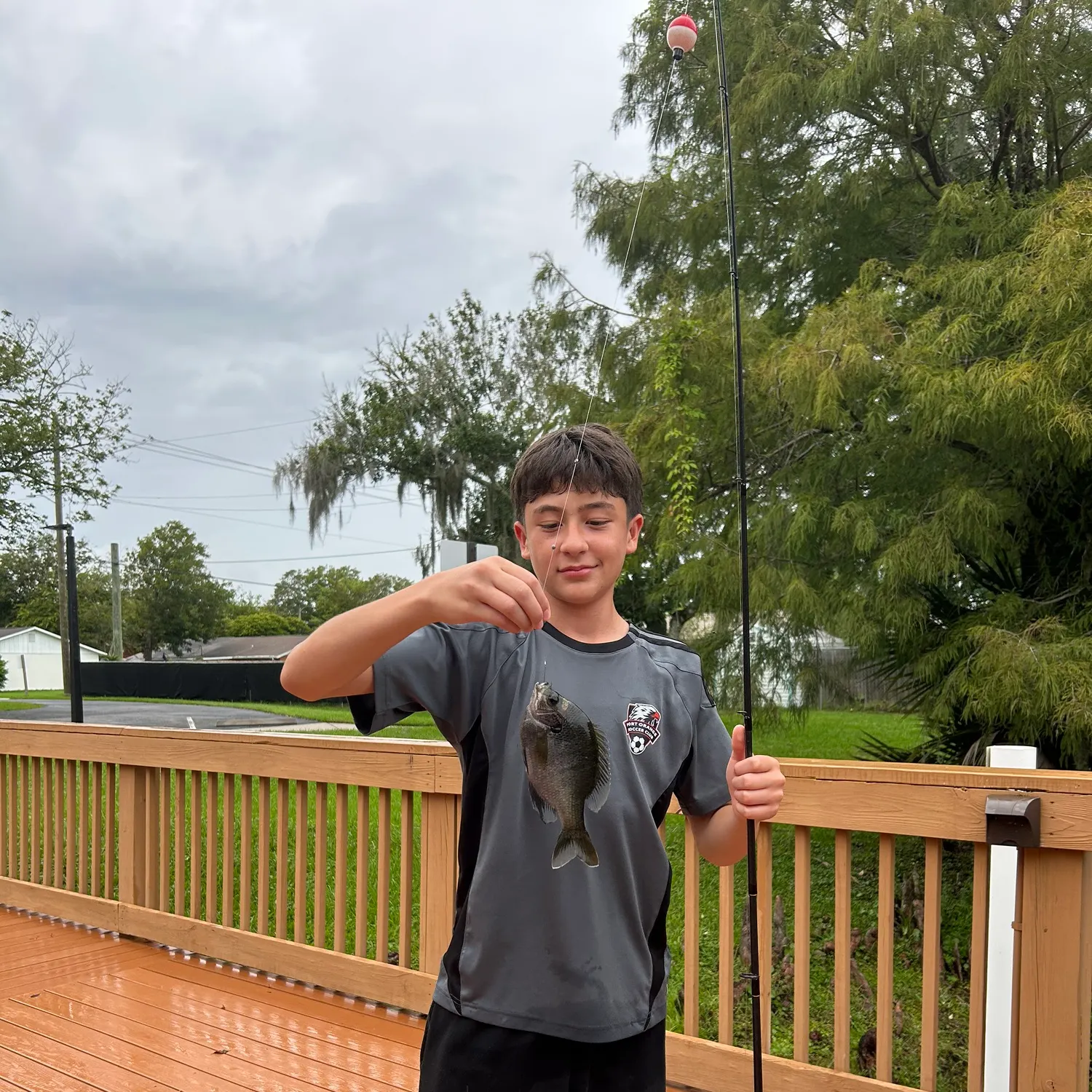 Bluegill caught on Fishbrain