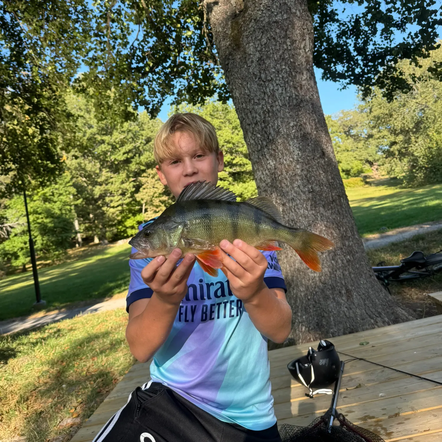 European perch caught on Fishbrain