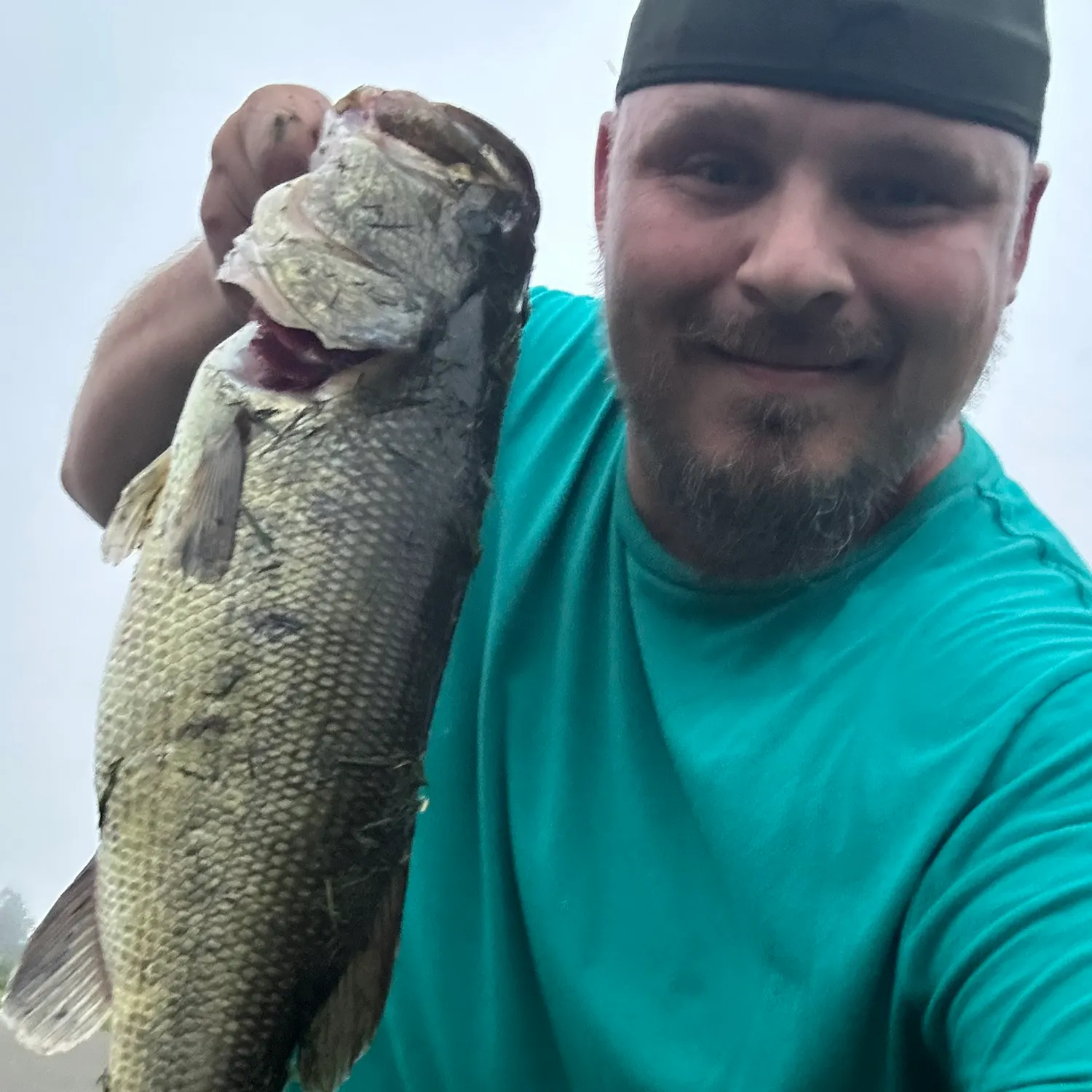 The most recent Largemouth bass catches on Fishbrain