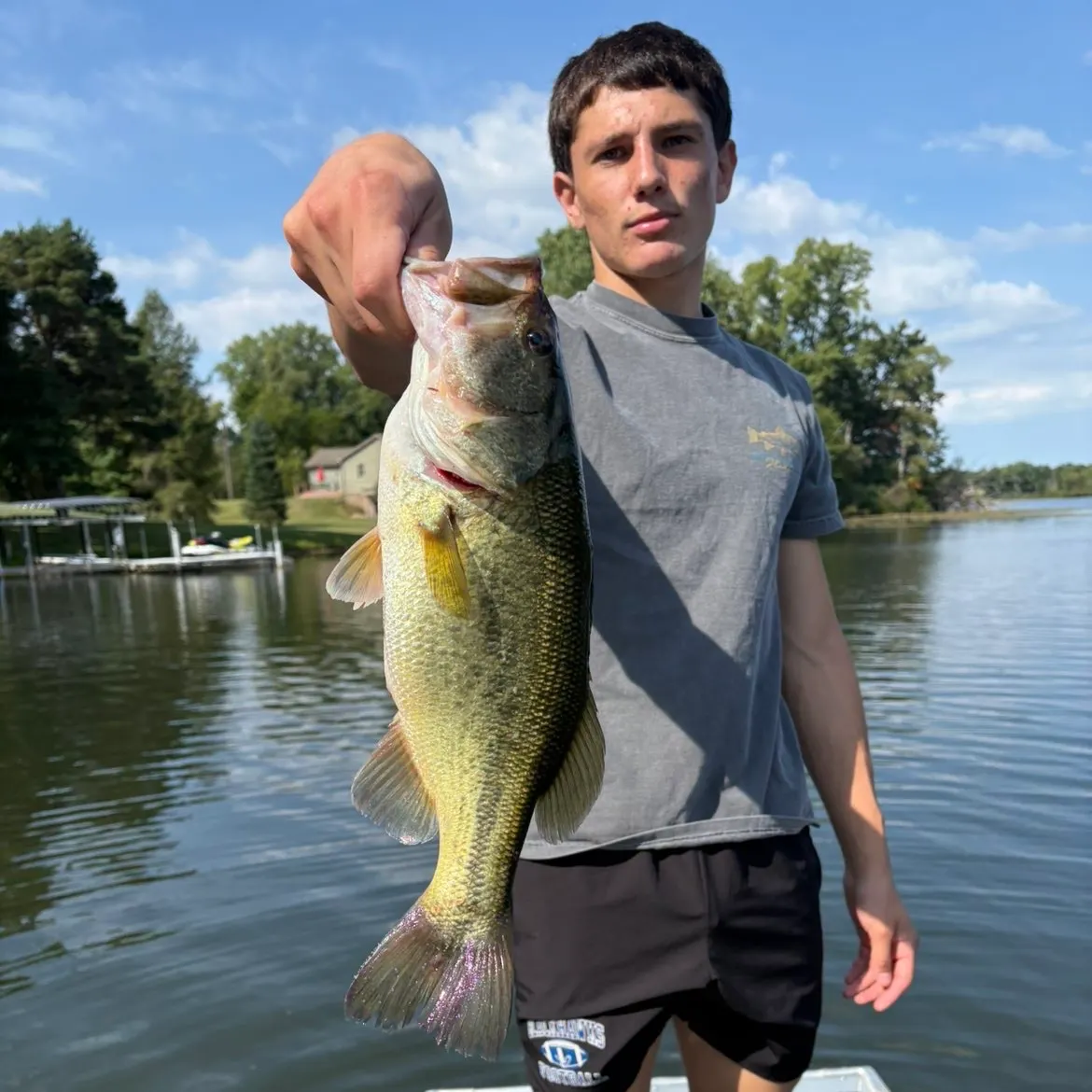 Largemouth bass caught on Fishbrain