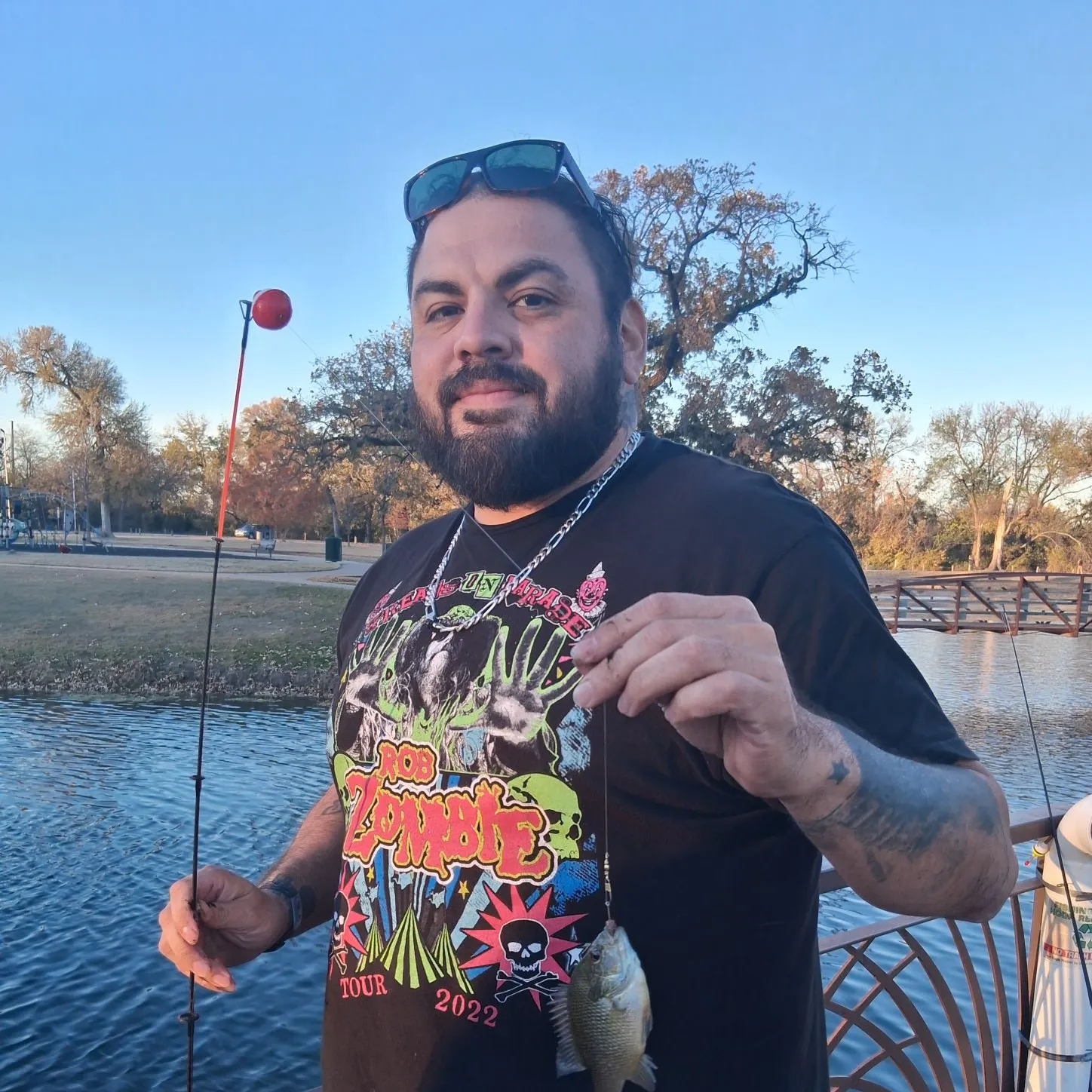 The most recent Shiner perch catches on Fishbrain