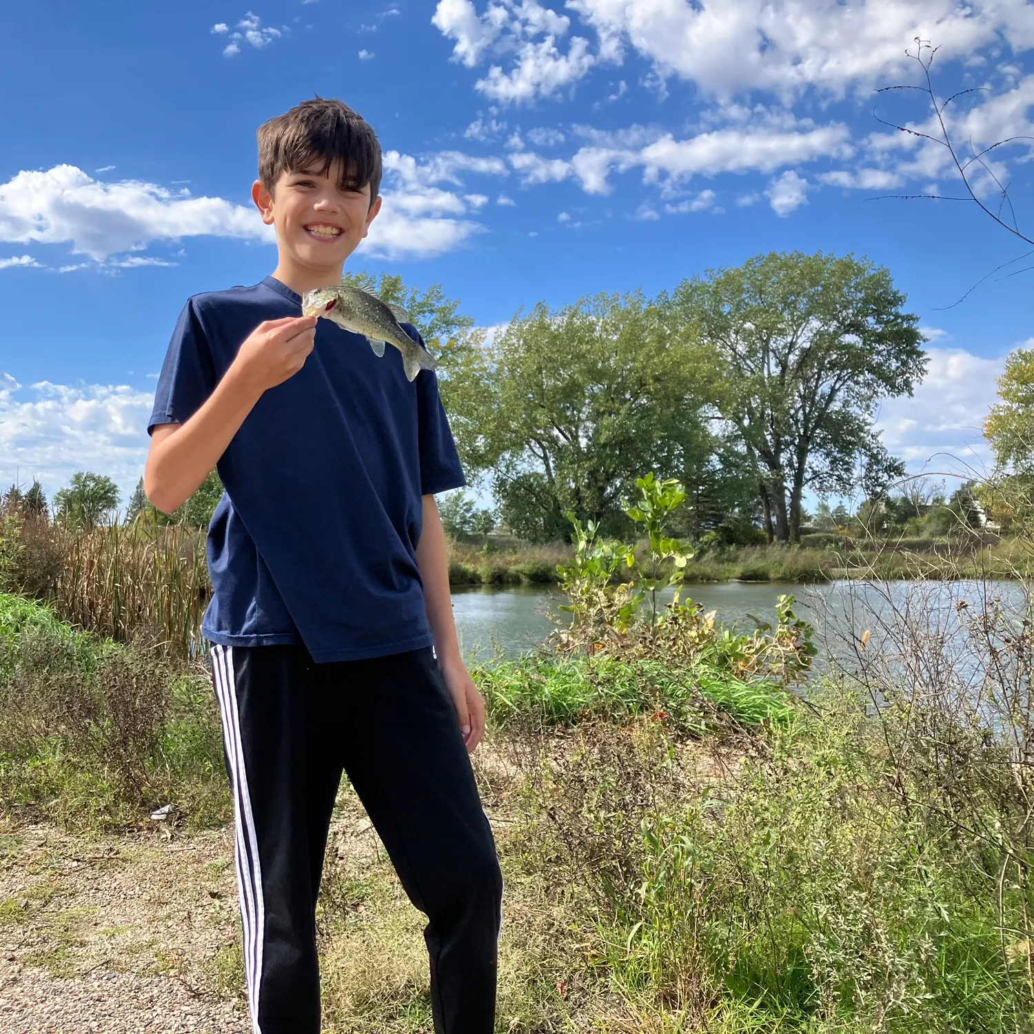 Spotted bass caught on Fishbrain