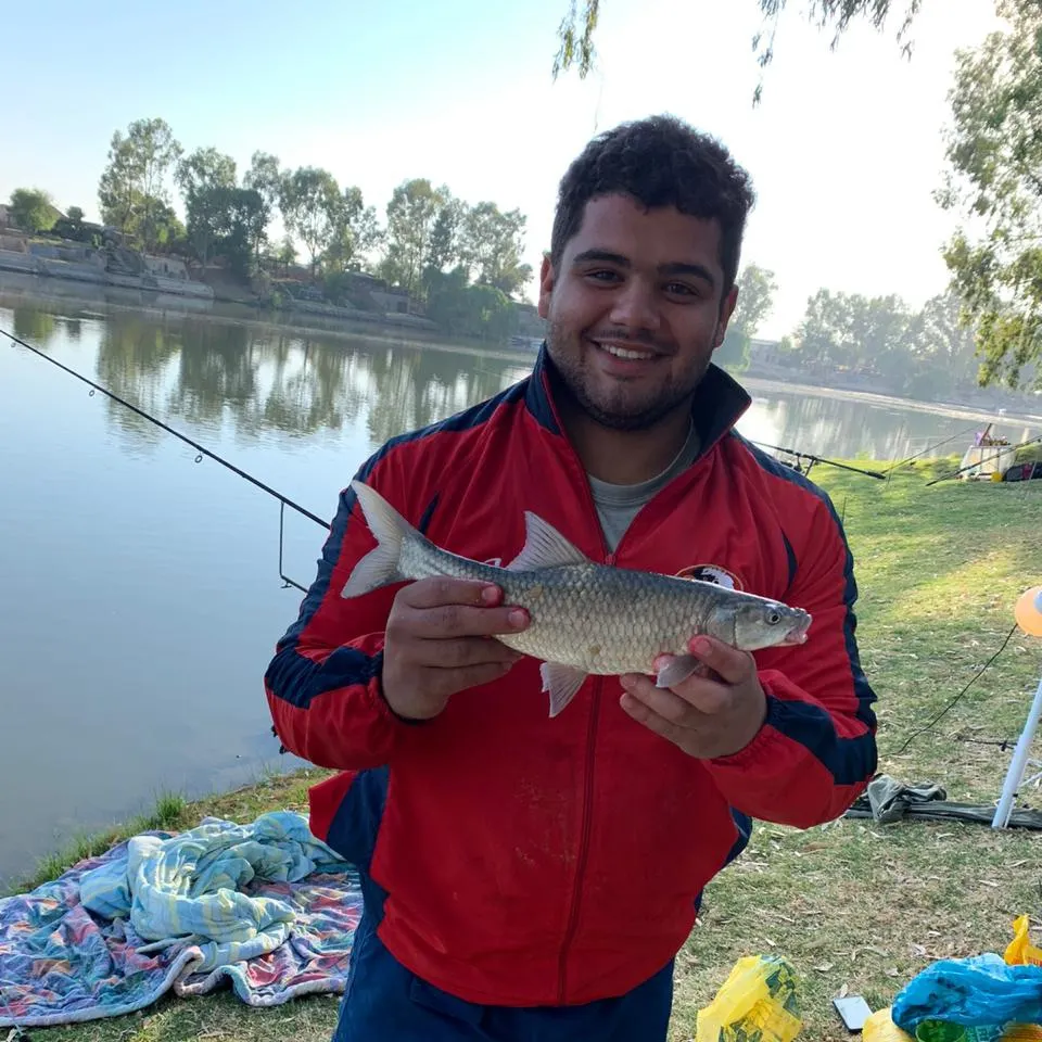 The most recent Smallmouth yellowfish catches on Fishbrain
