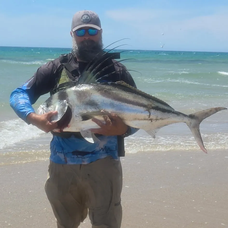 The most recent Roosterfish catches on Fishbrain