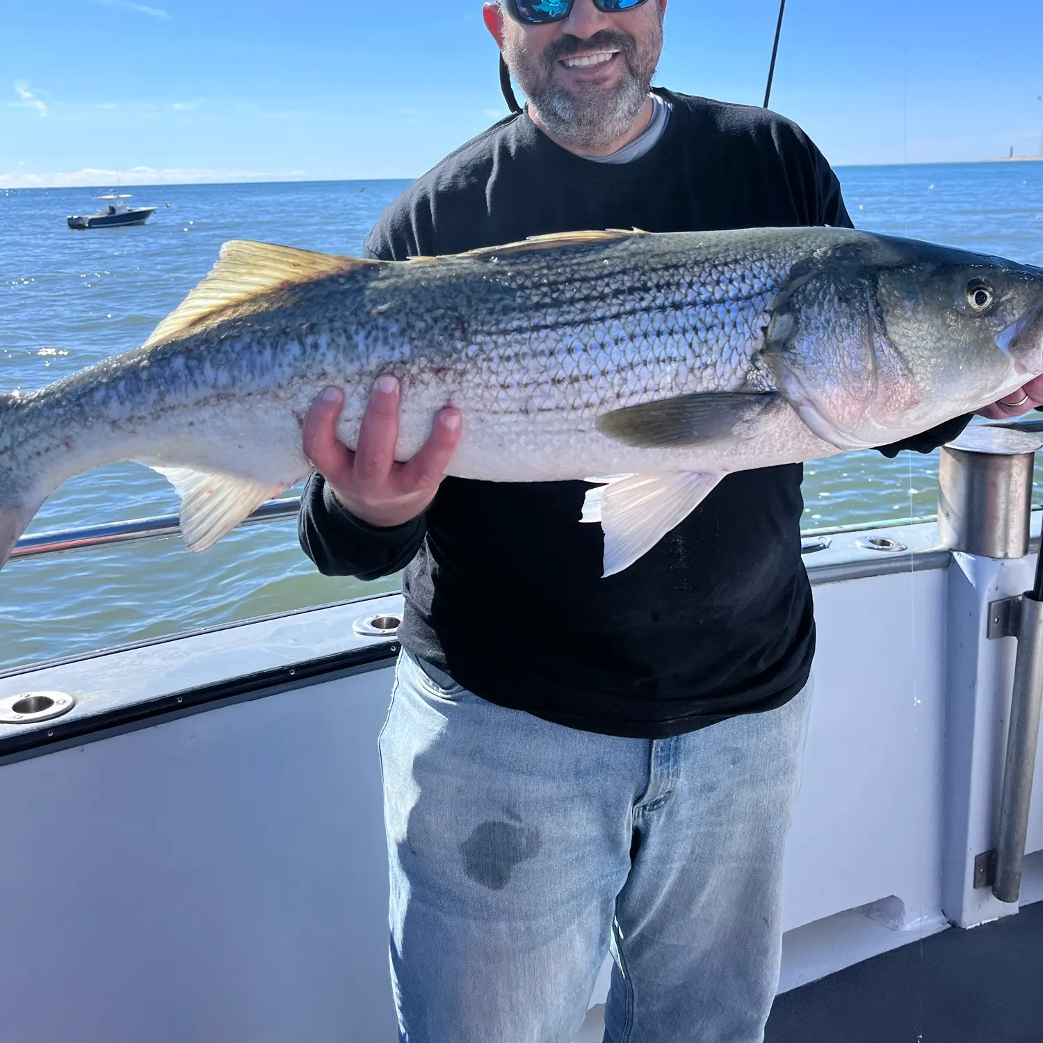 Striped bass caught on Fishbrain
