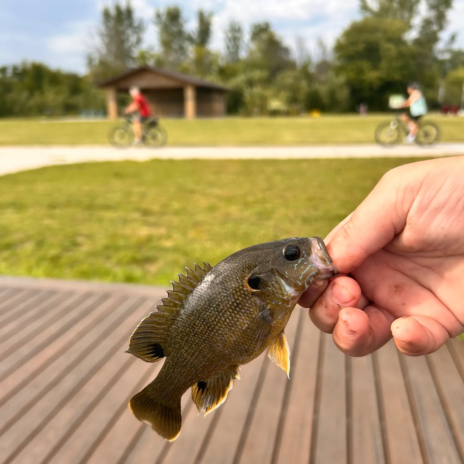 catch