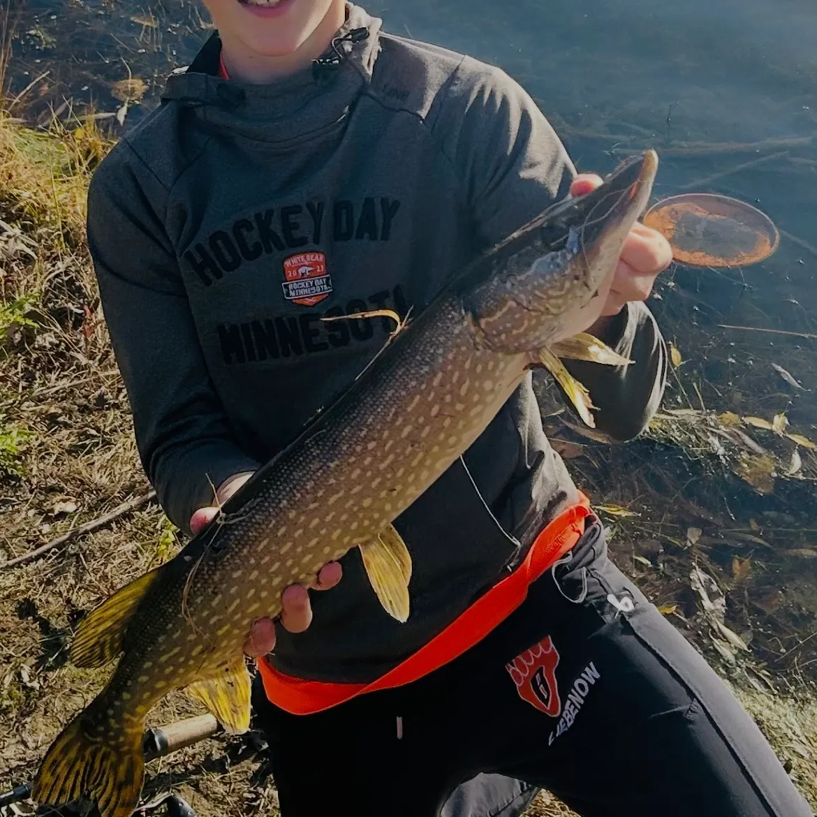 Northern pike caught on Fishbrain