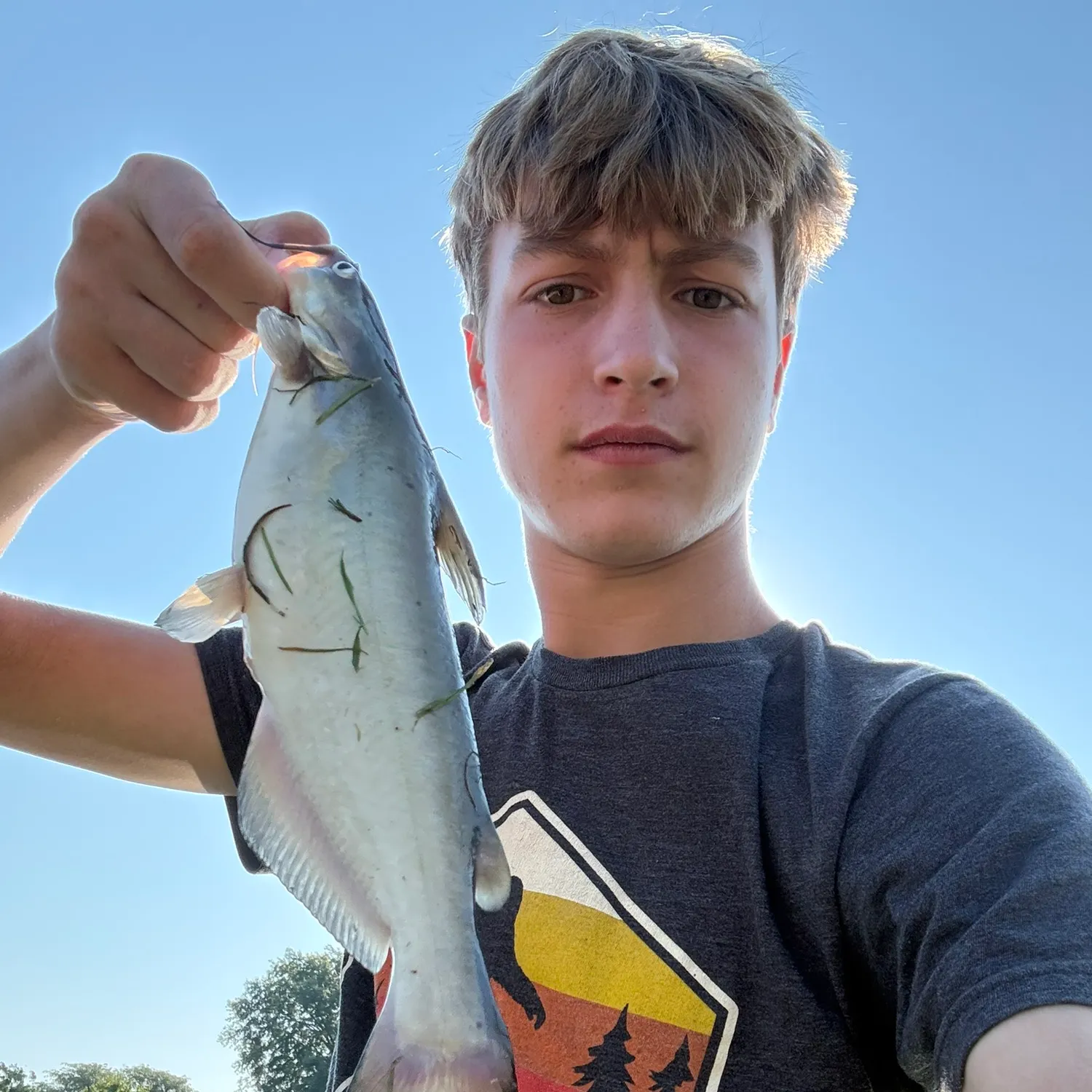 Channel catfish caught on Fishbrain