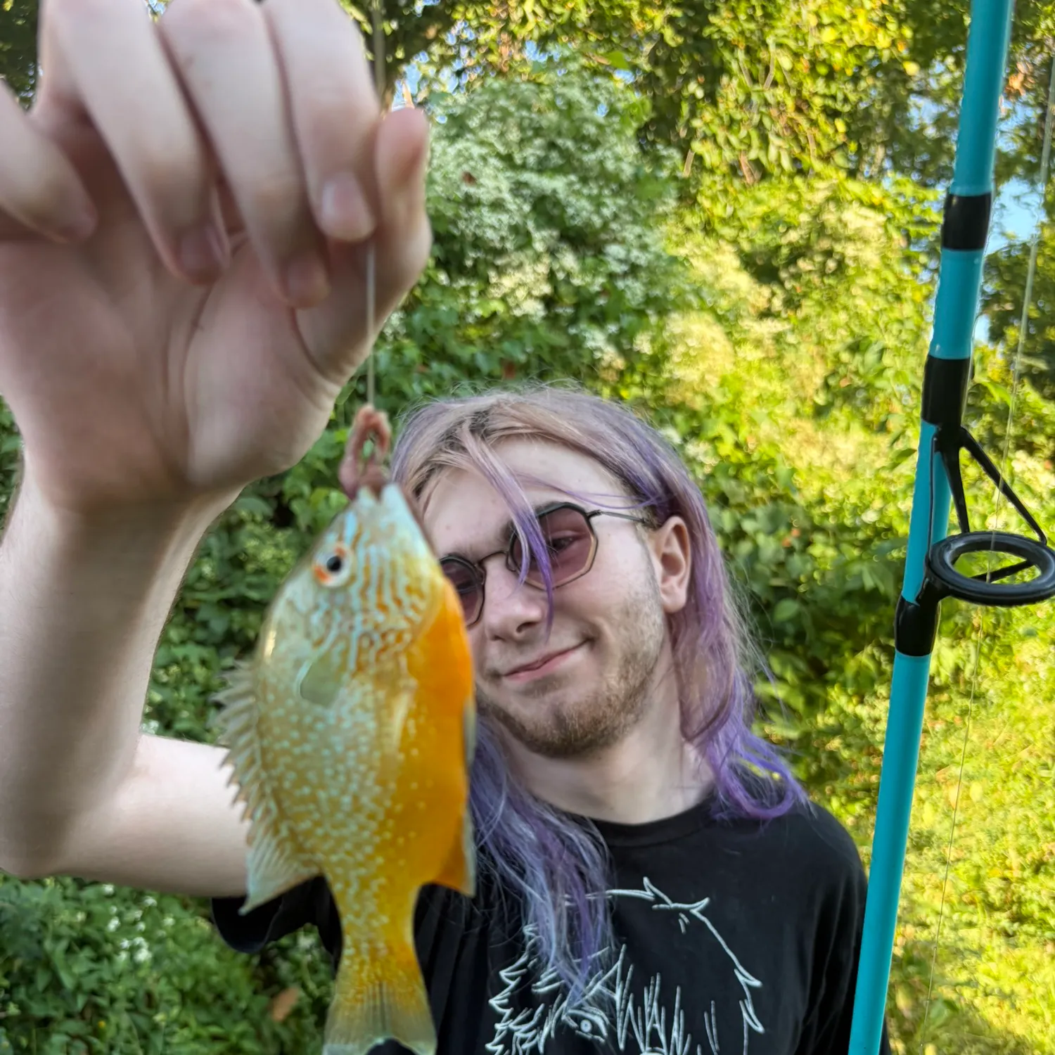 Pumpkinseed caught on Fishbrain