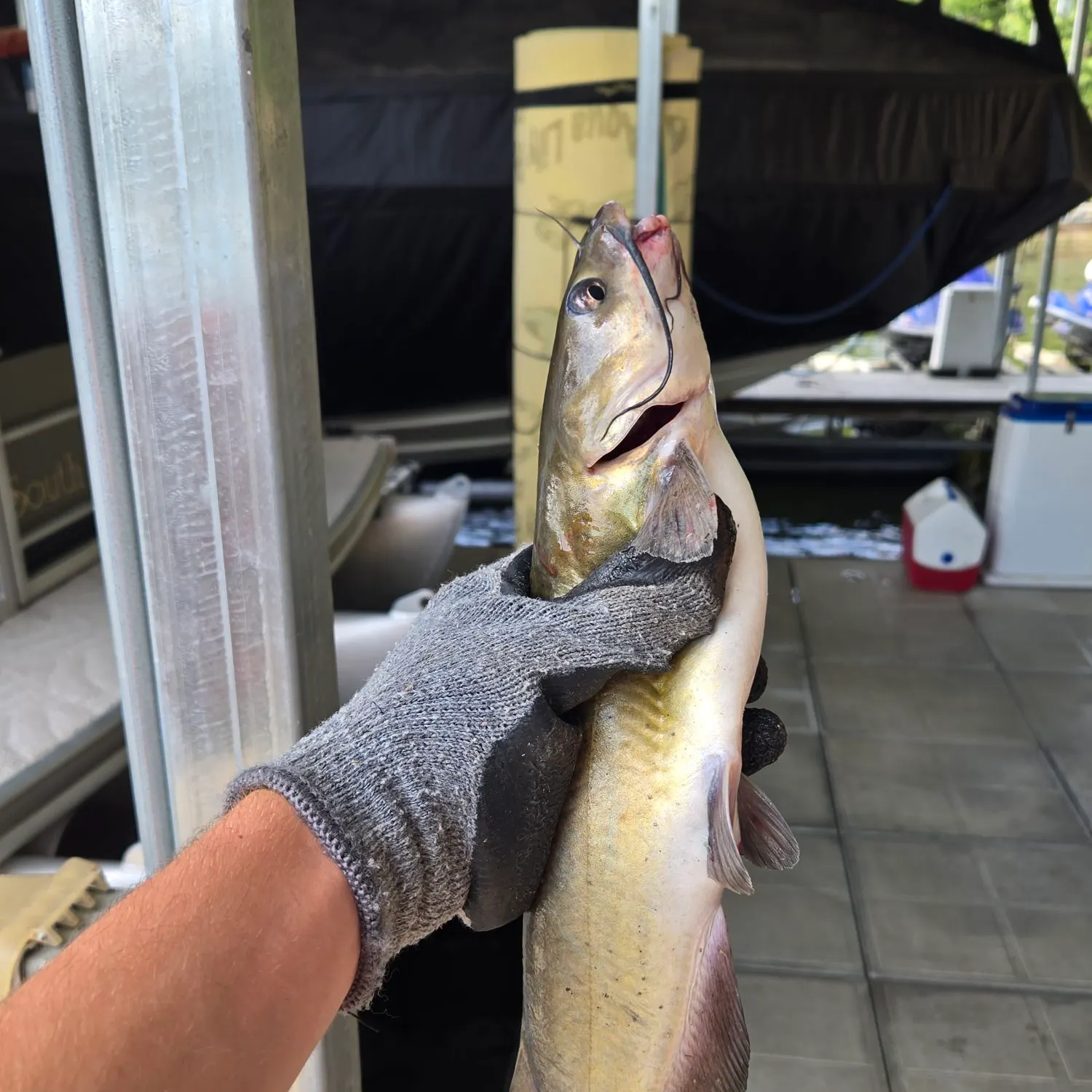 catch