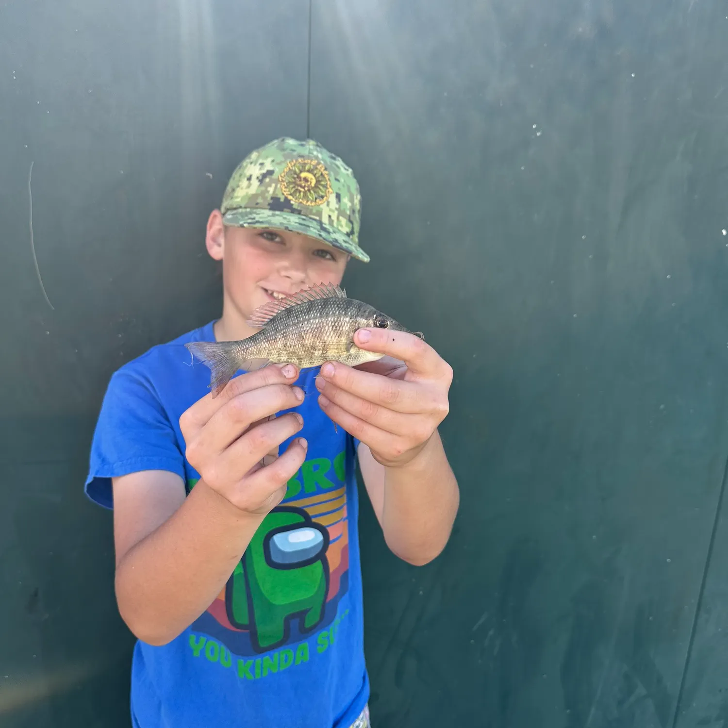 The most recent Javelin grunter catches on Fishbrain