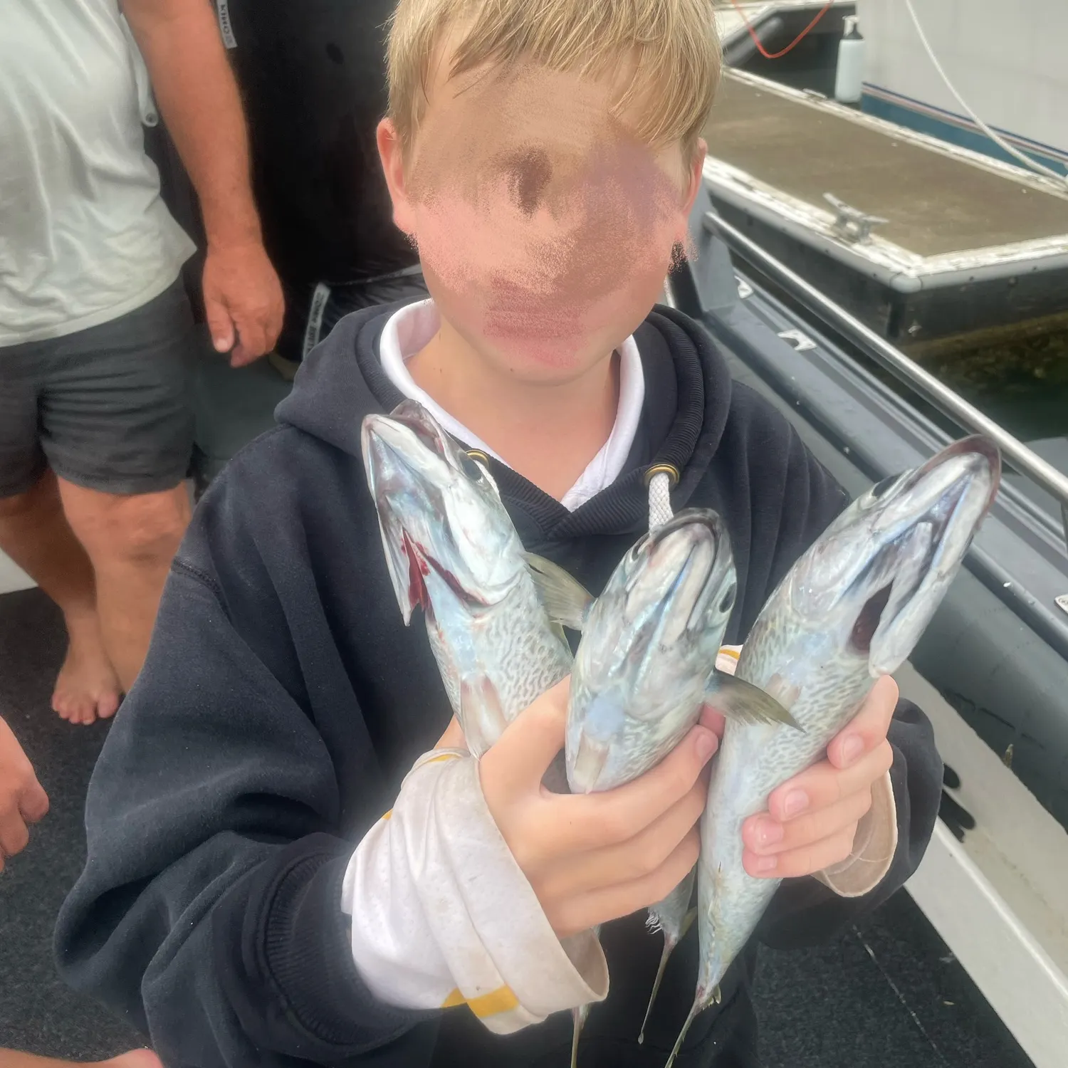The most recent Island mackerel catches on Fishbrain