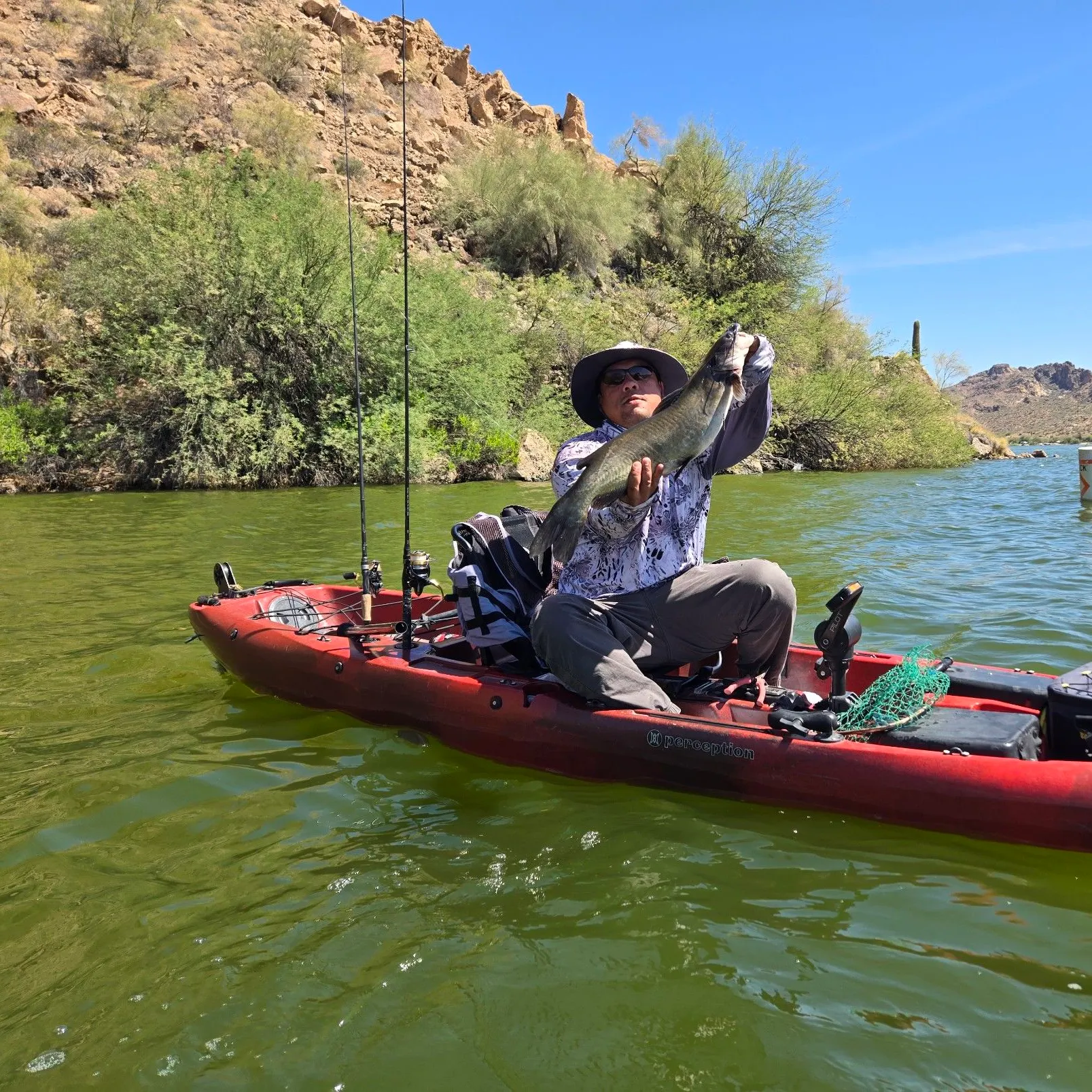 Channel catfish caught on Fishbrain
