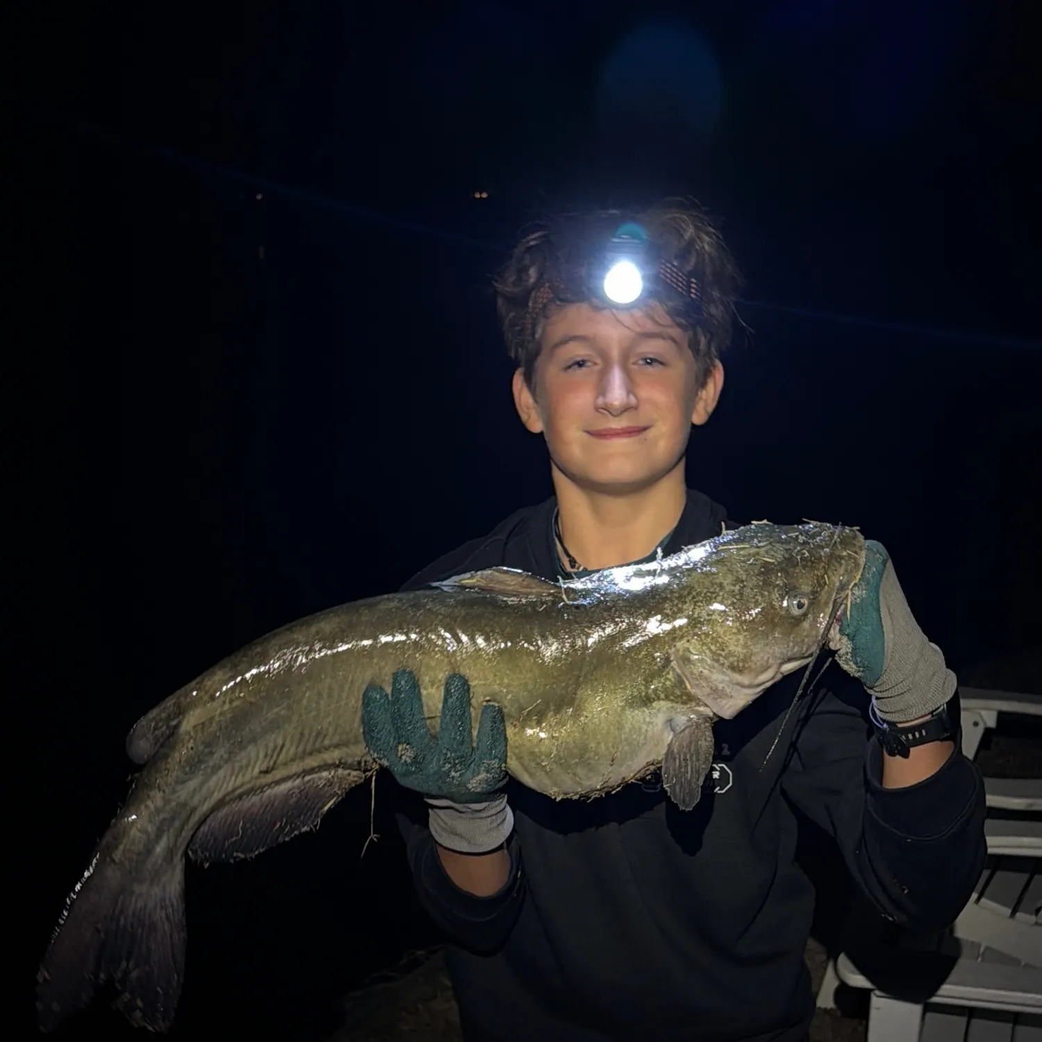 White bullhead caught on Fishbrain