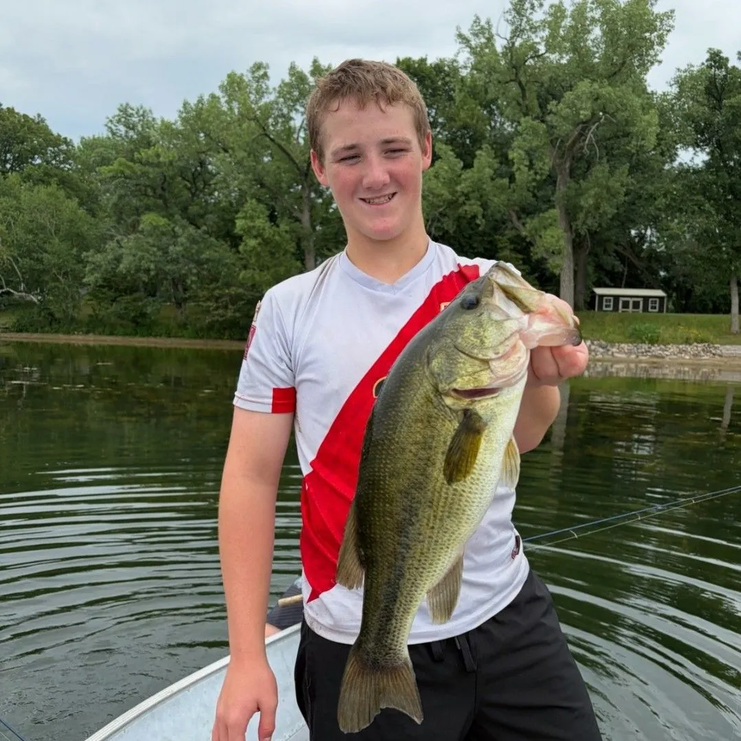 Largemouth bass caught on Fishbrain