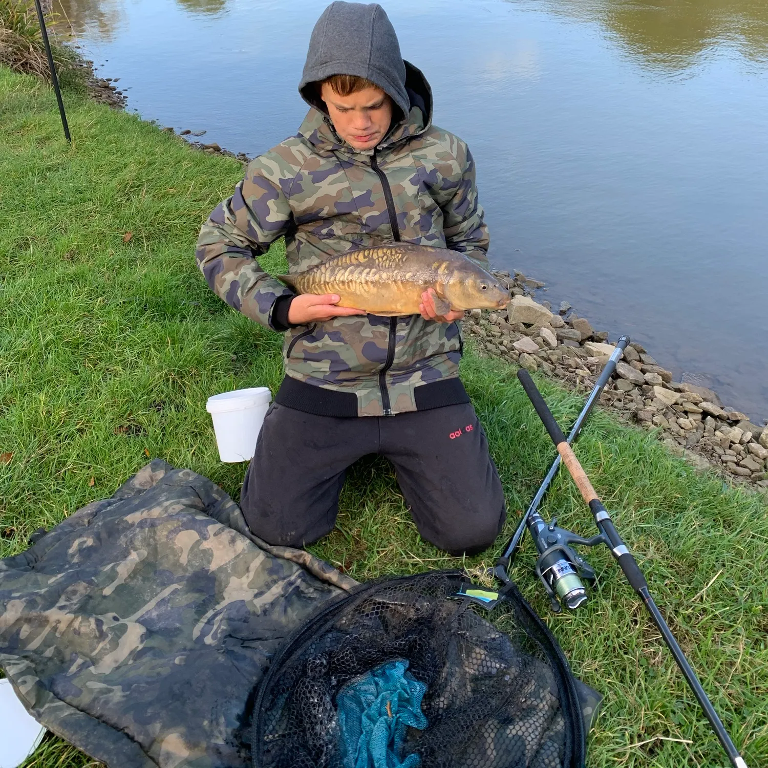 Mirror carp caught on Fishbrain