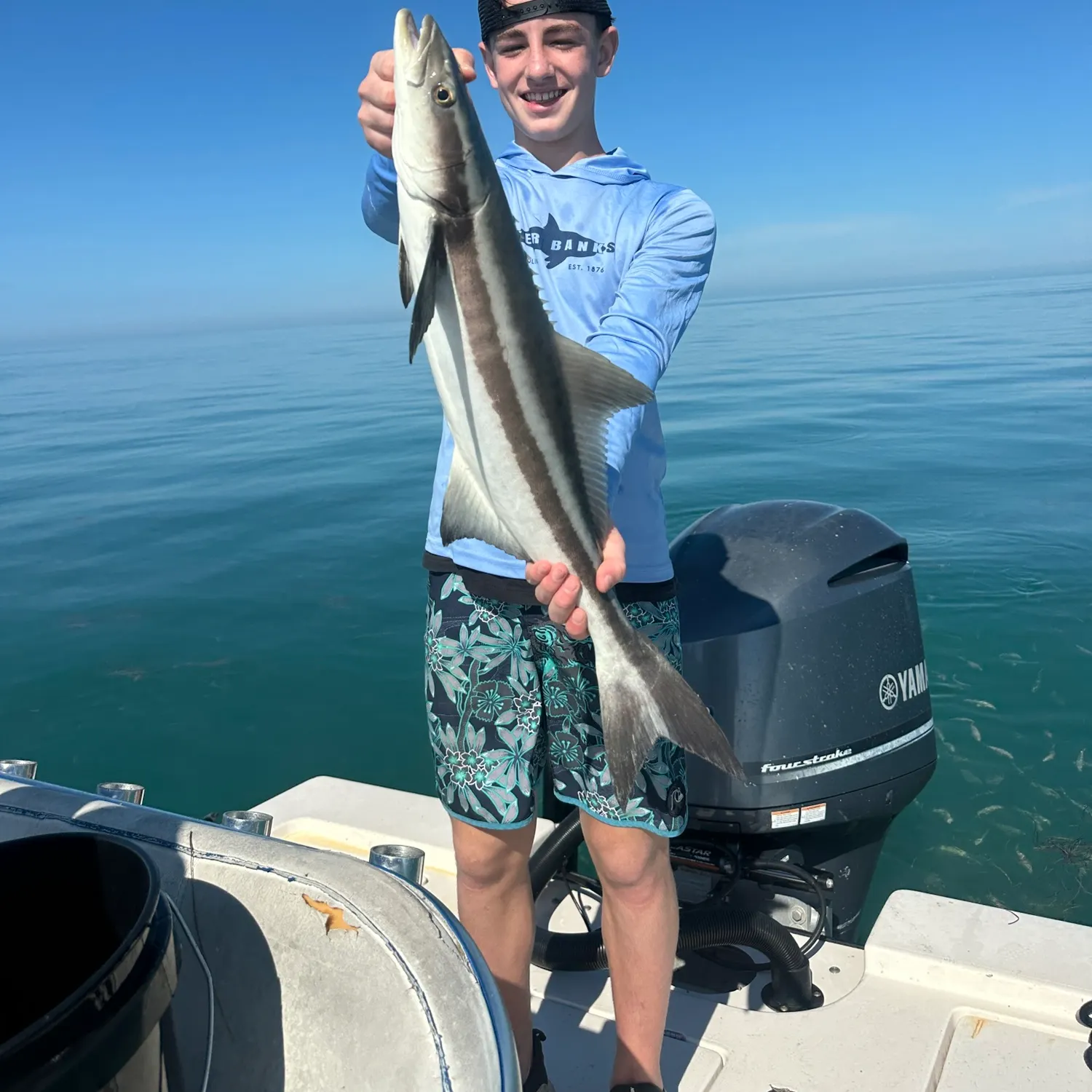 The most recent Cobia catches on Fishbrain