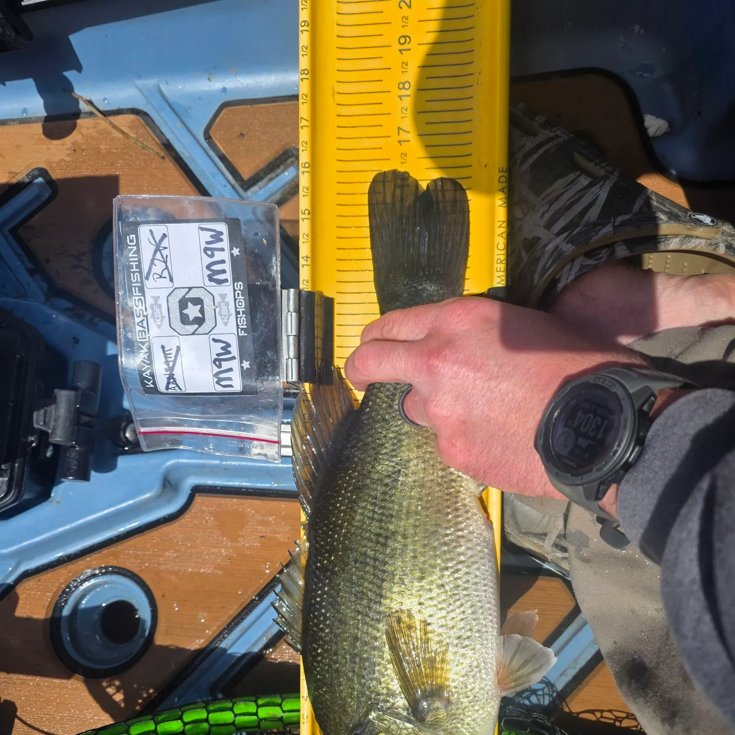 recently logged catches