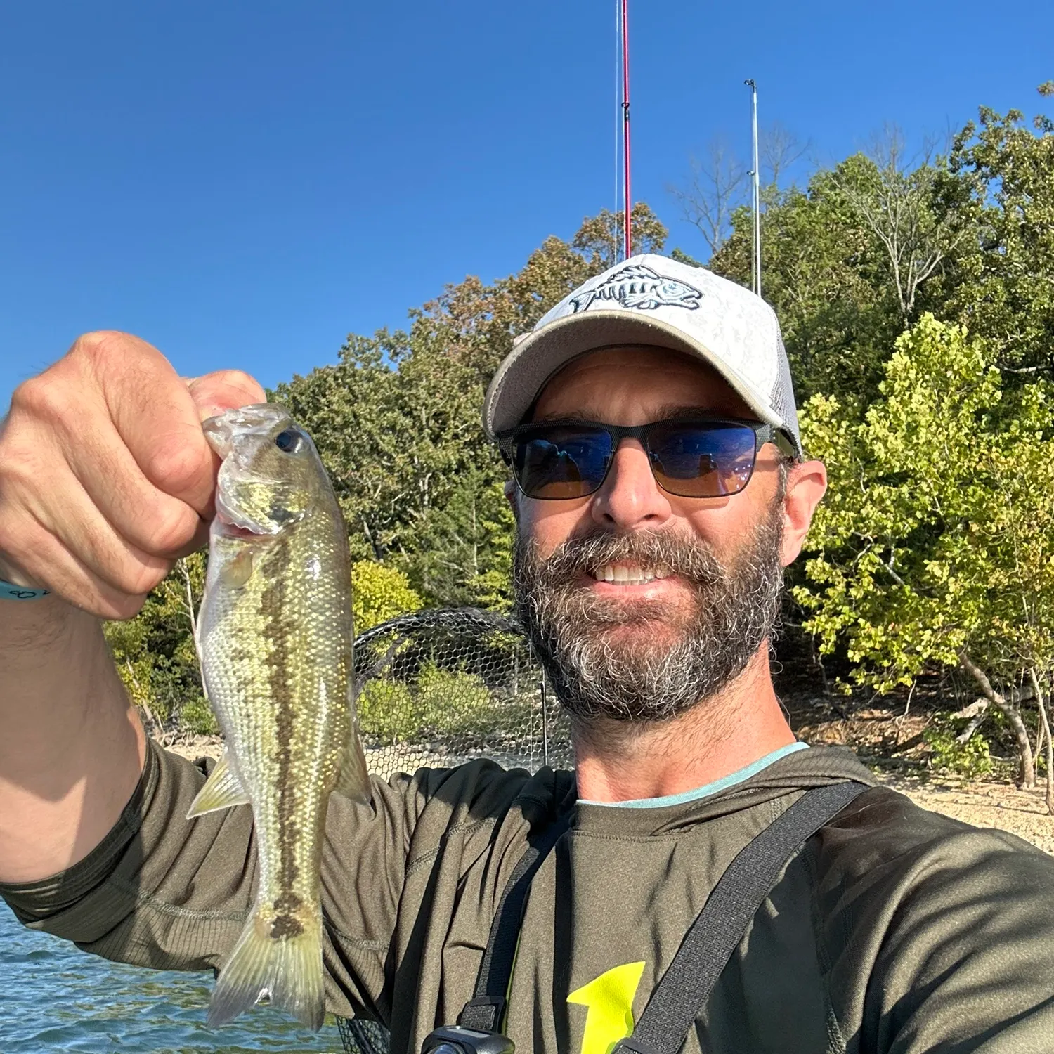 Spotted bass caught on Fishbrain