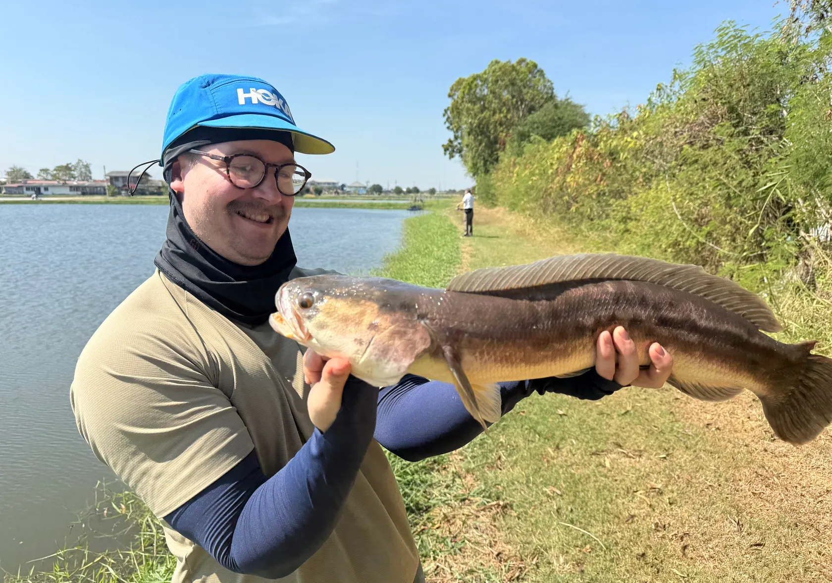 Indonesian snakehead