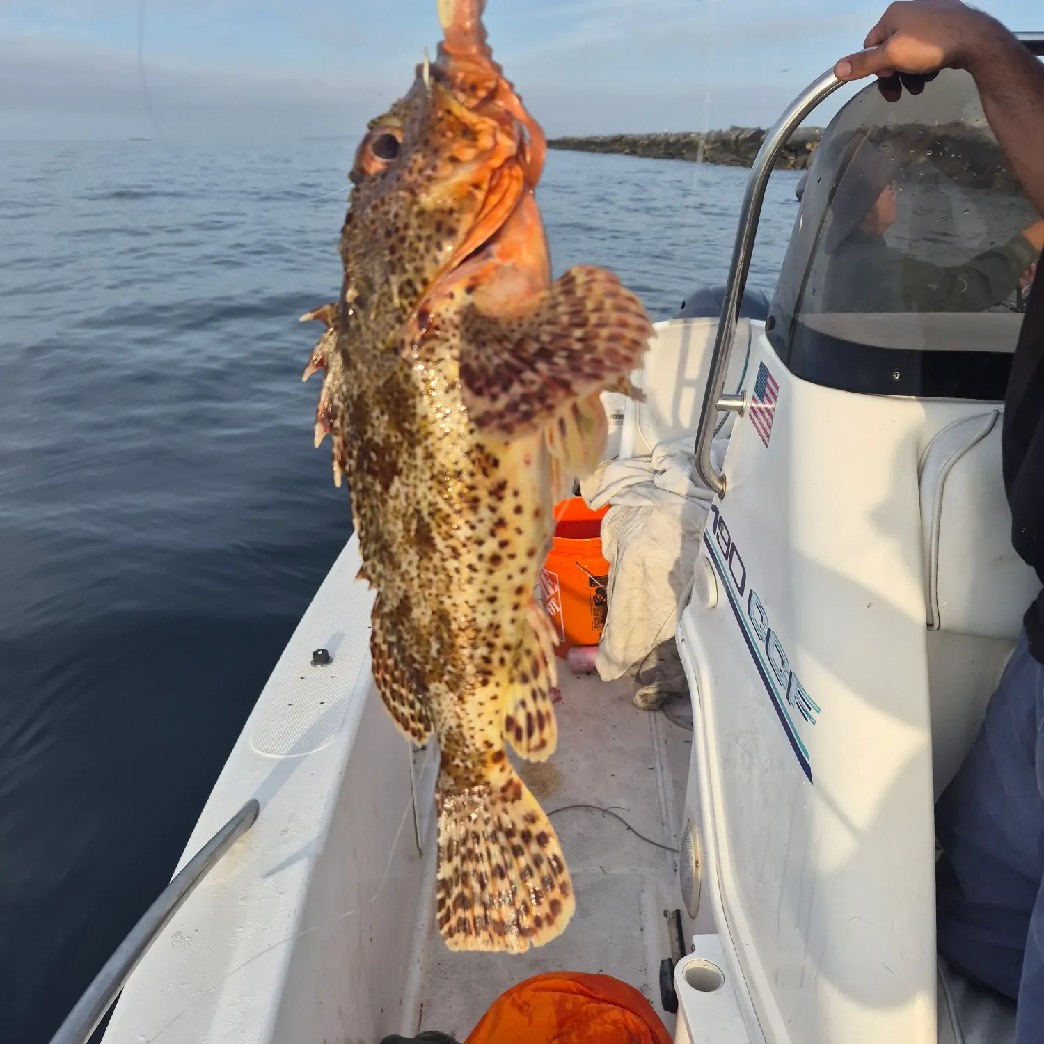 The most recent Spinyhead sculpin catches on Fishbrain