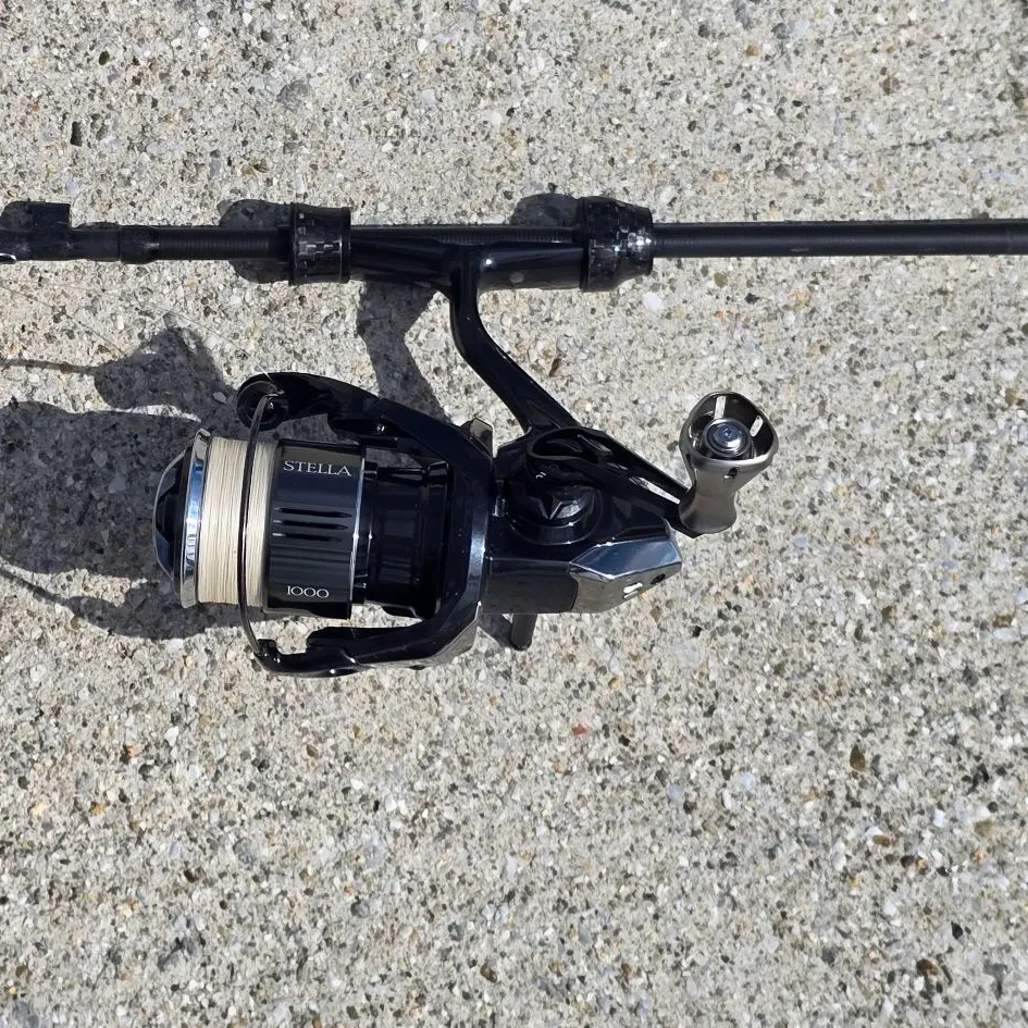 The most recent Japanese anchovy catches on Fishbrain