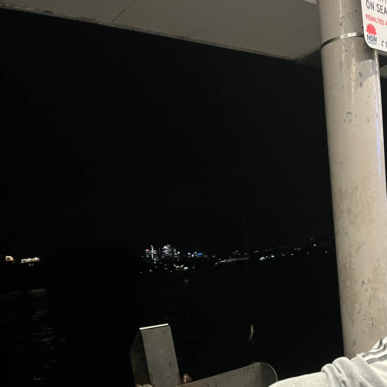 The most recent Surf bream catches on Fishbrain