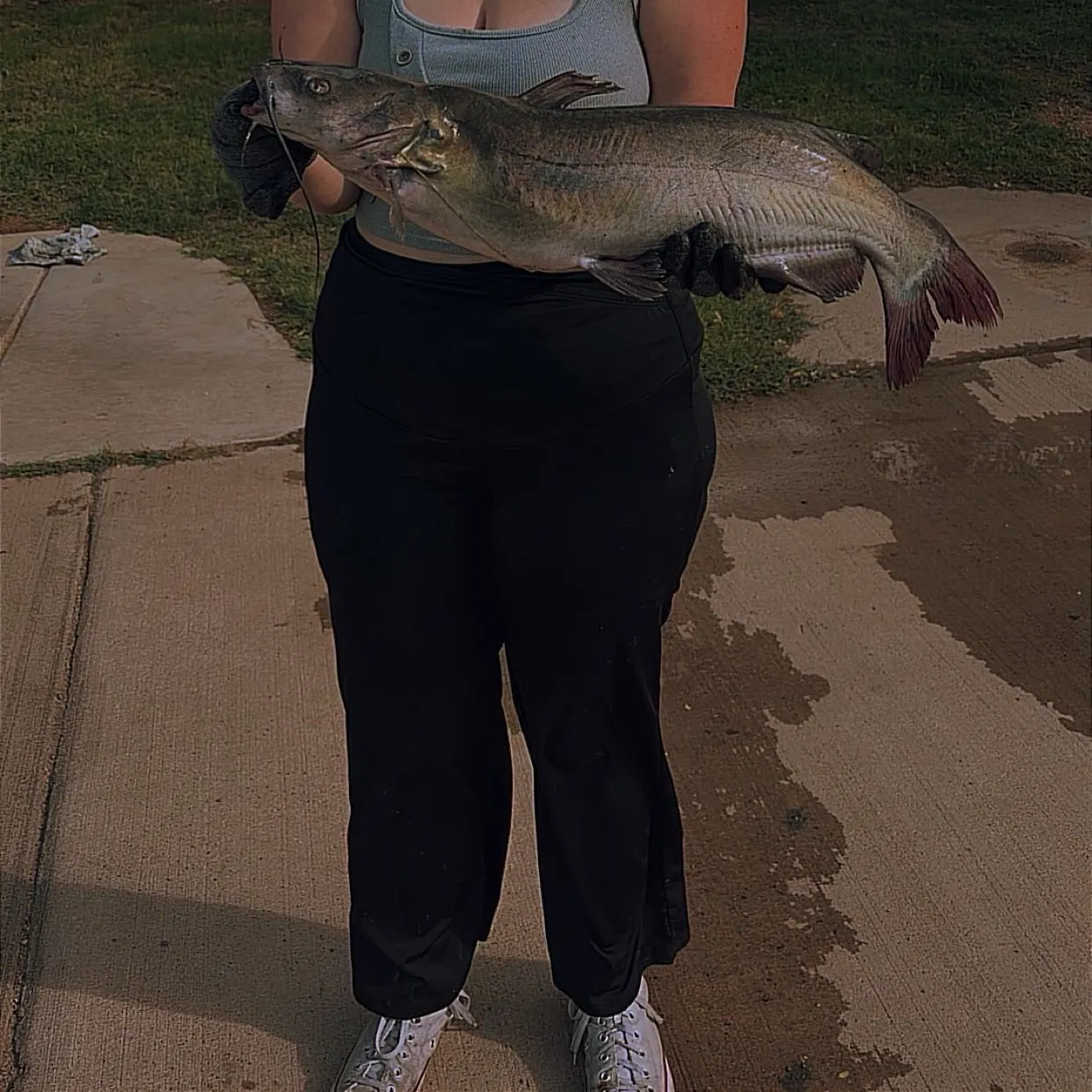 Channel catfish caught on Fishbrain