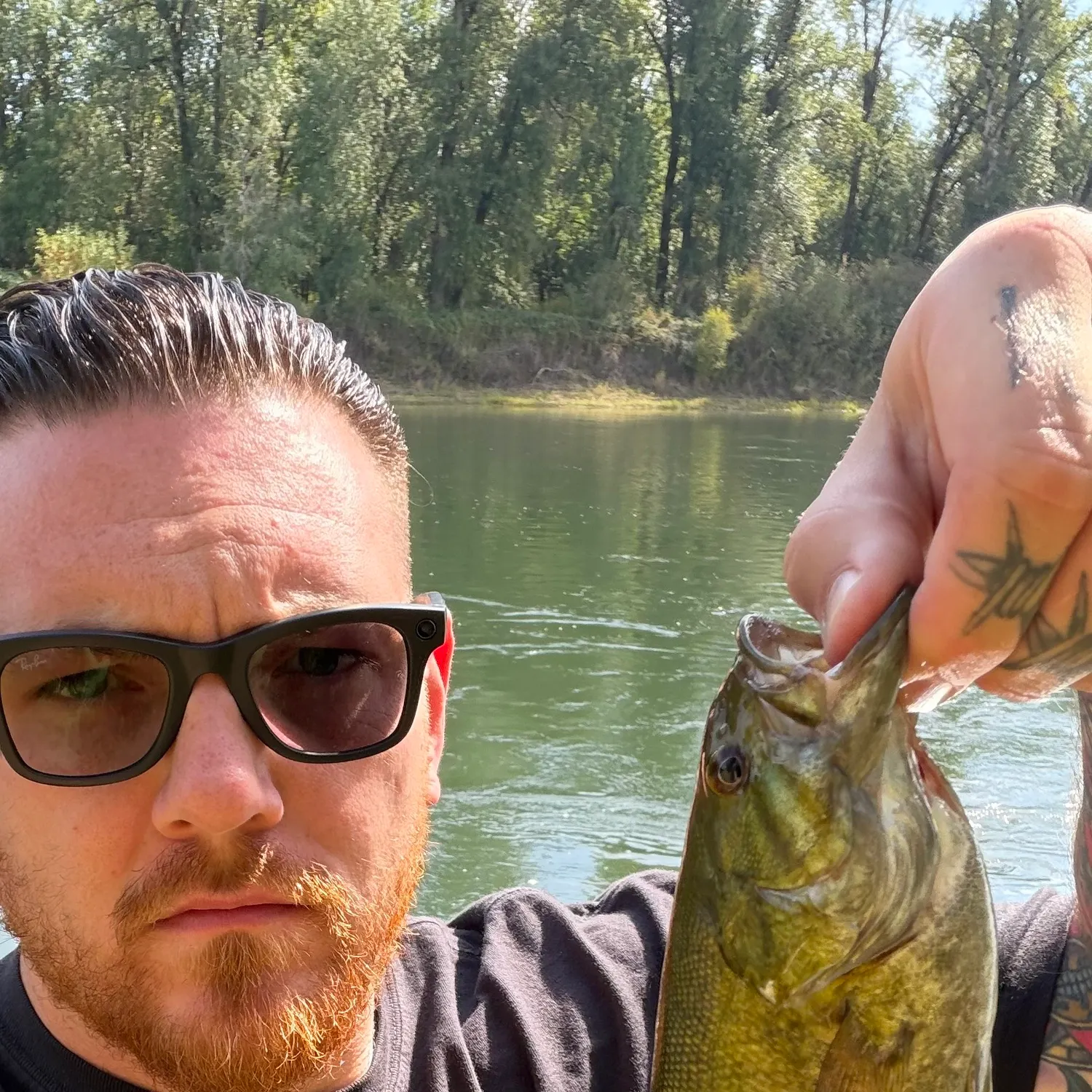 Smallmouth bass caught on Fishbrain
