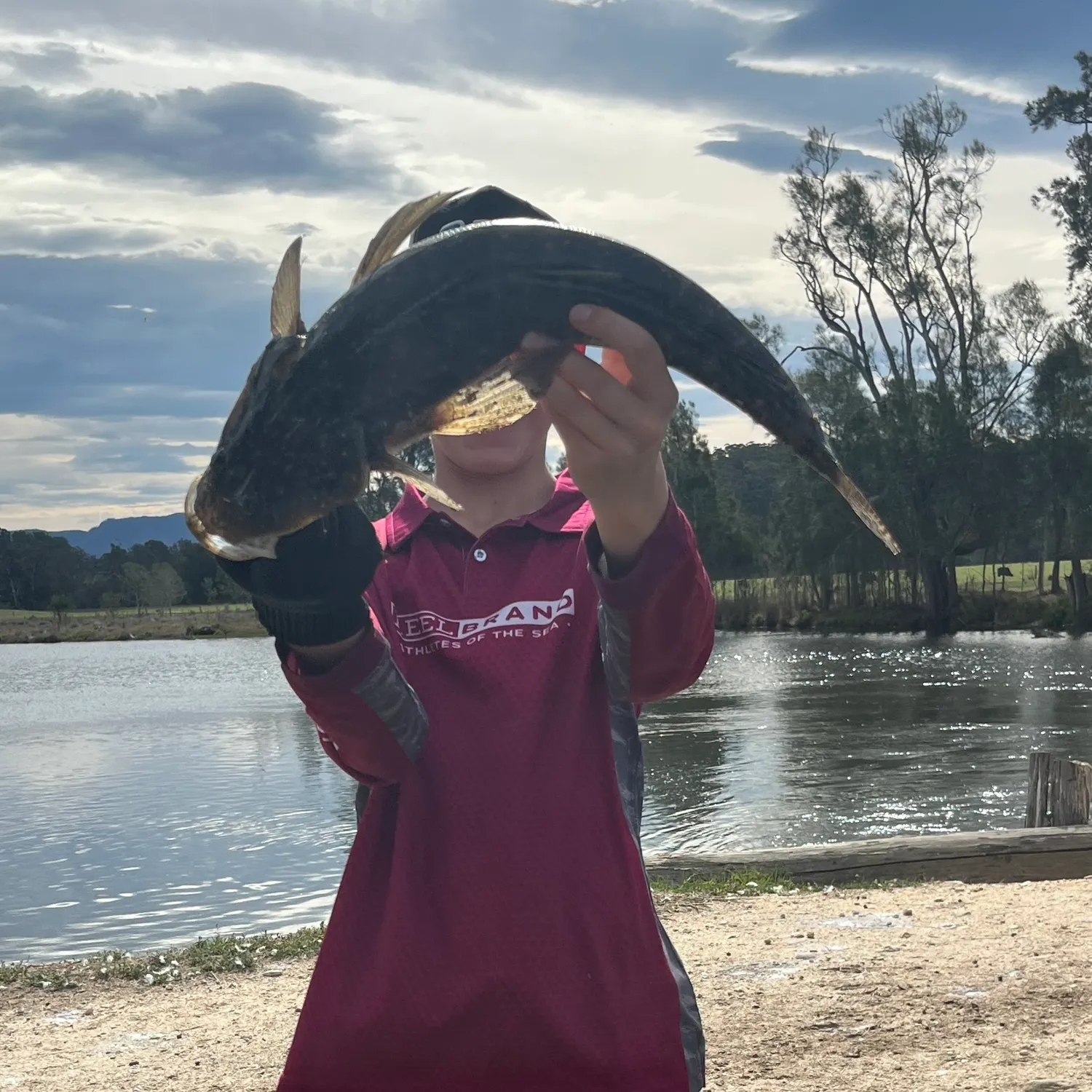 Dusky flathead caught on Fishbrain