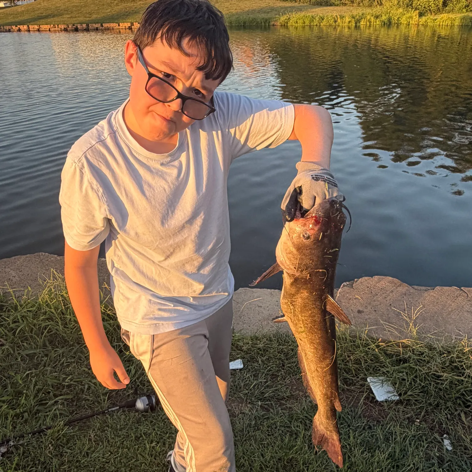 Channel catfish caught on Fishbrain