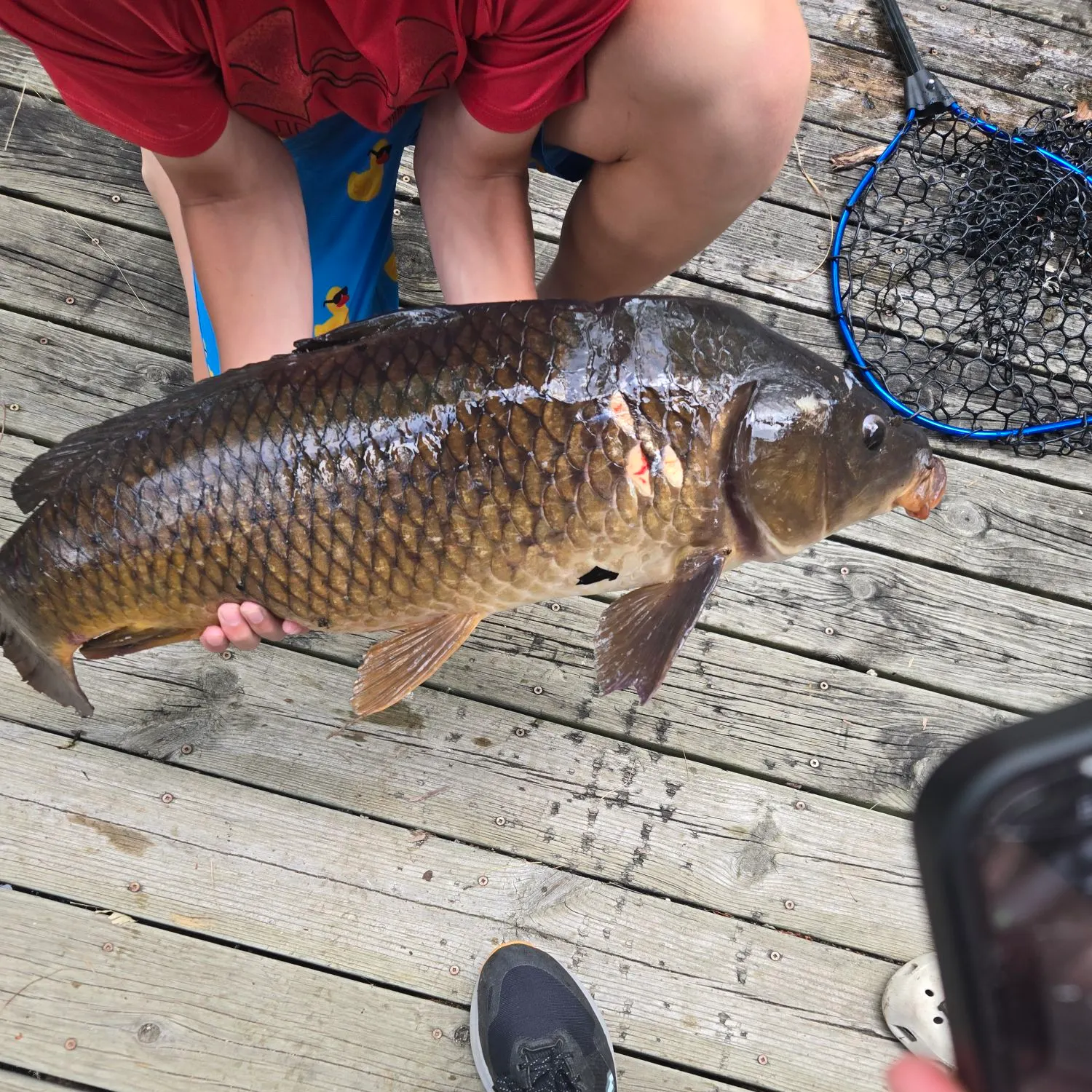 recently logged catches