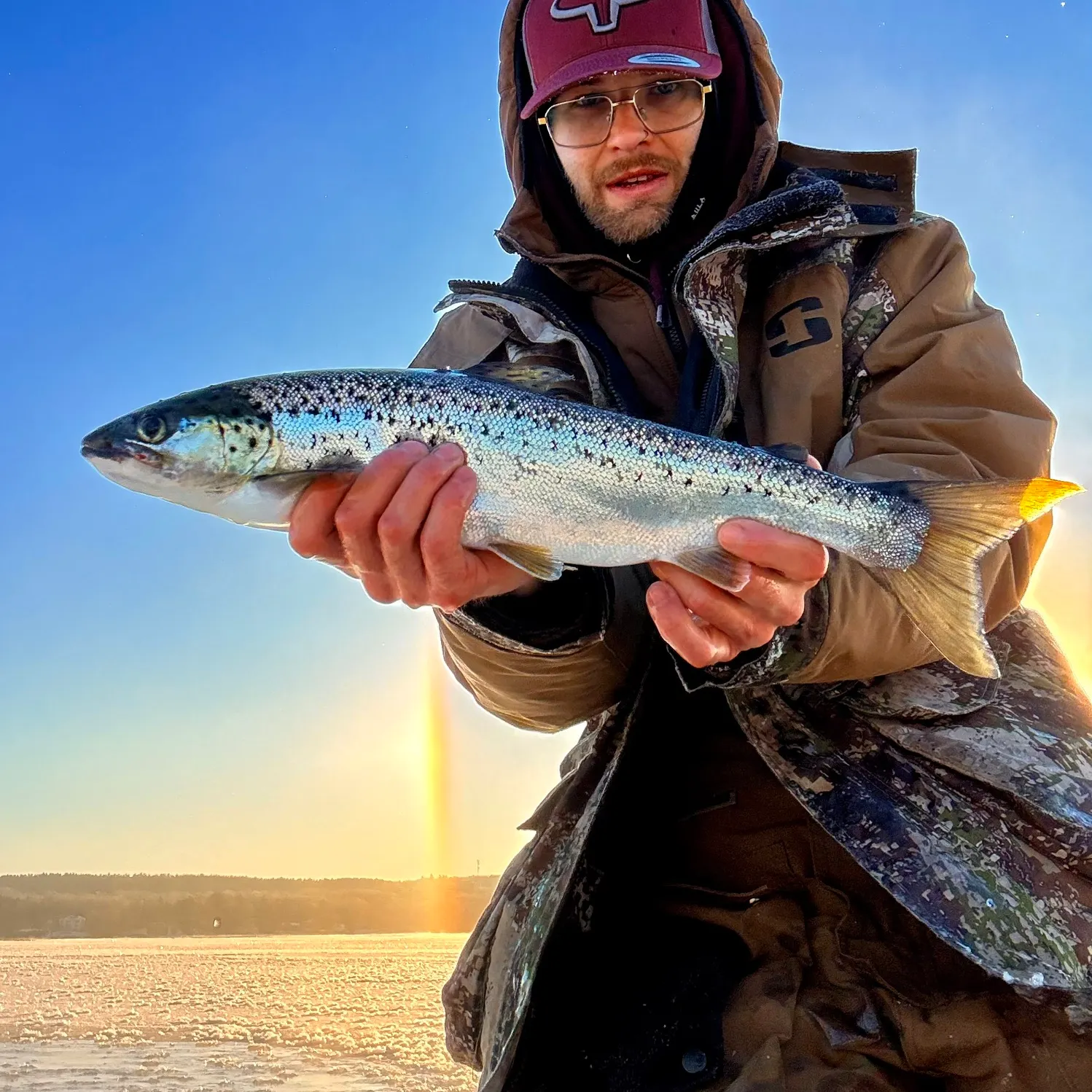 The most recent Landlocked atlantic salmon catches on Fishbrain