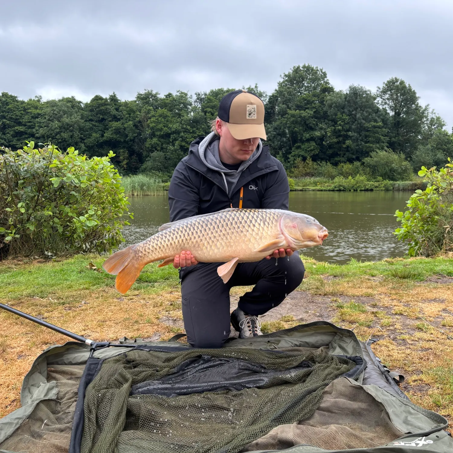 Common carp caught on Fishbrain