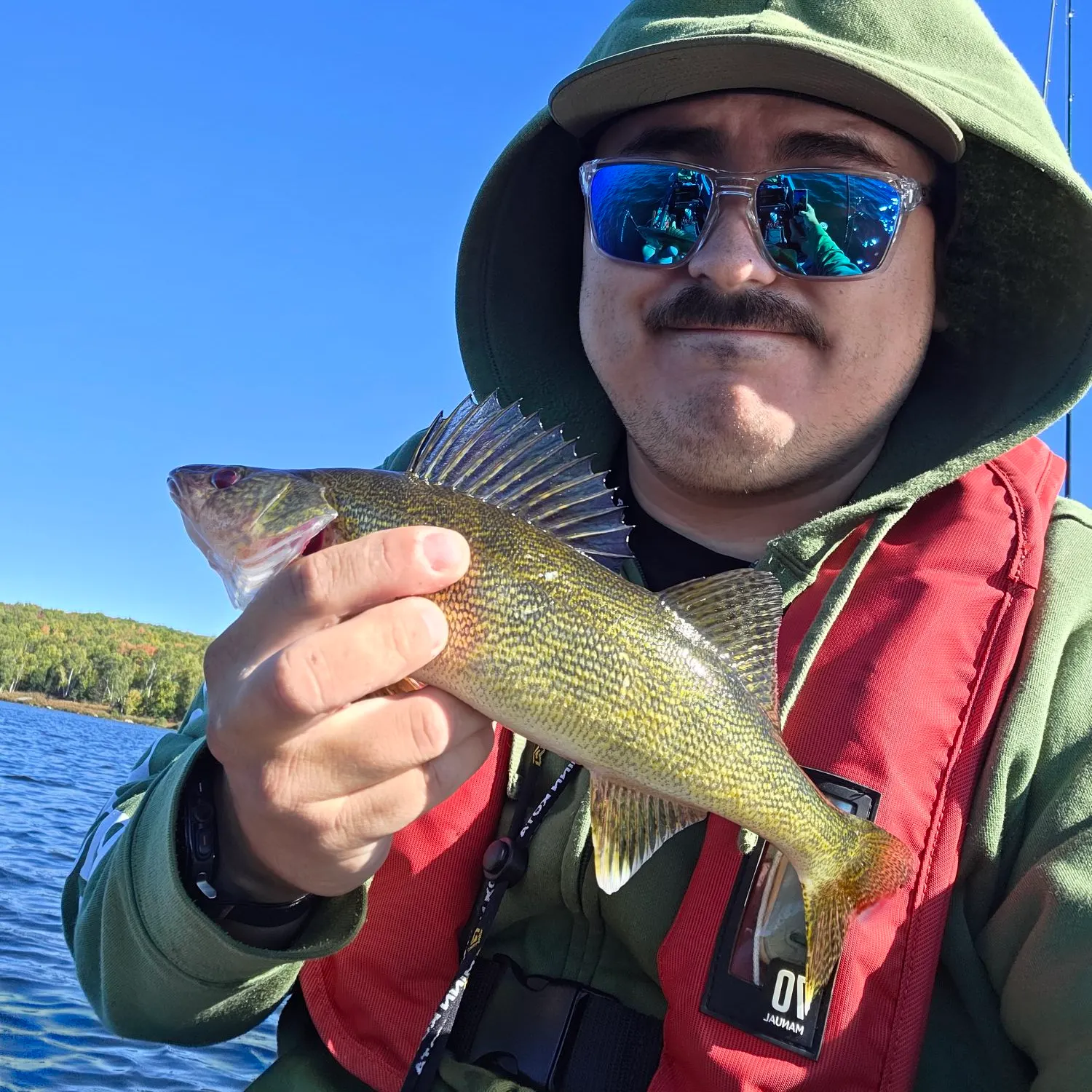 Walleye caught on Fishbrain