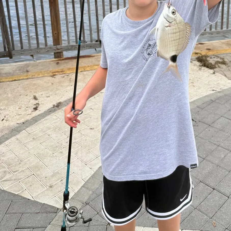 The most recent Spottail seabream catches on Fishbrain