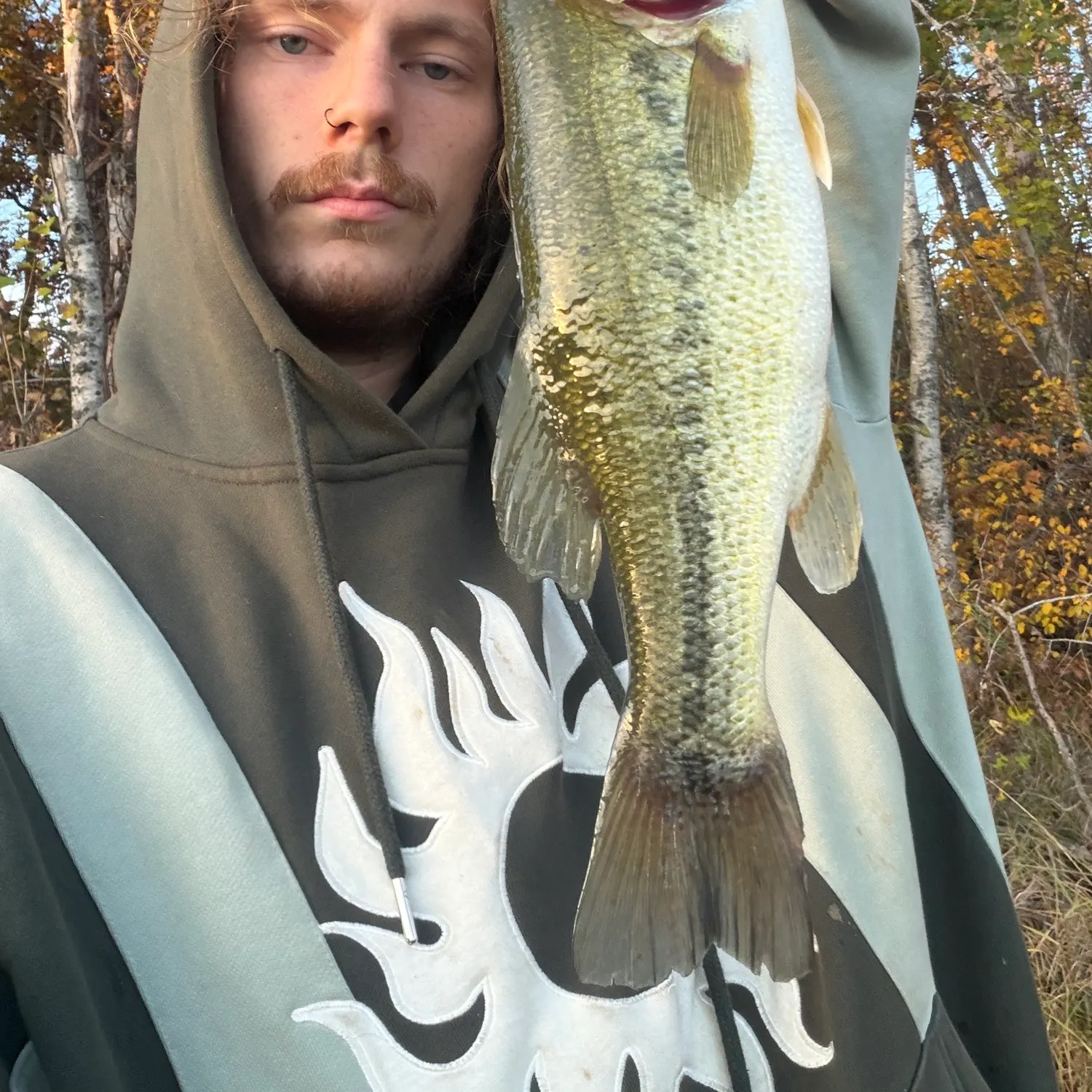 Largemouth bass caught on Fishbrain
