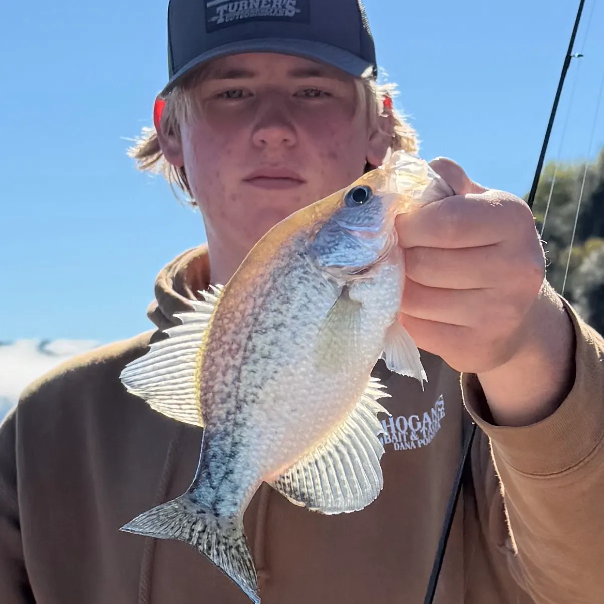 Black crappie caught on Fishbrain