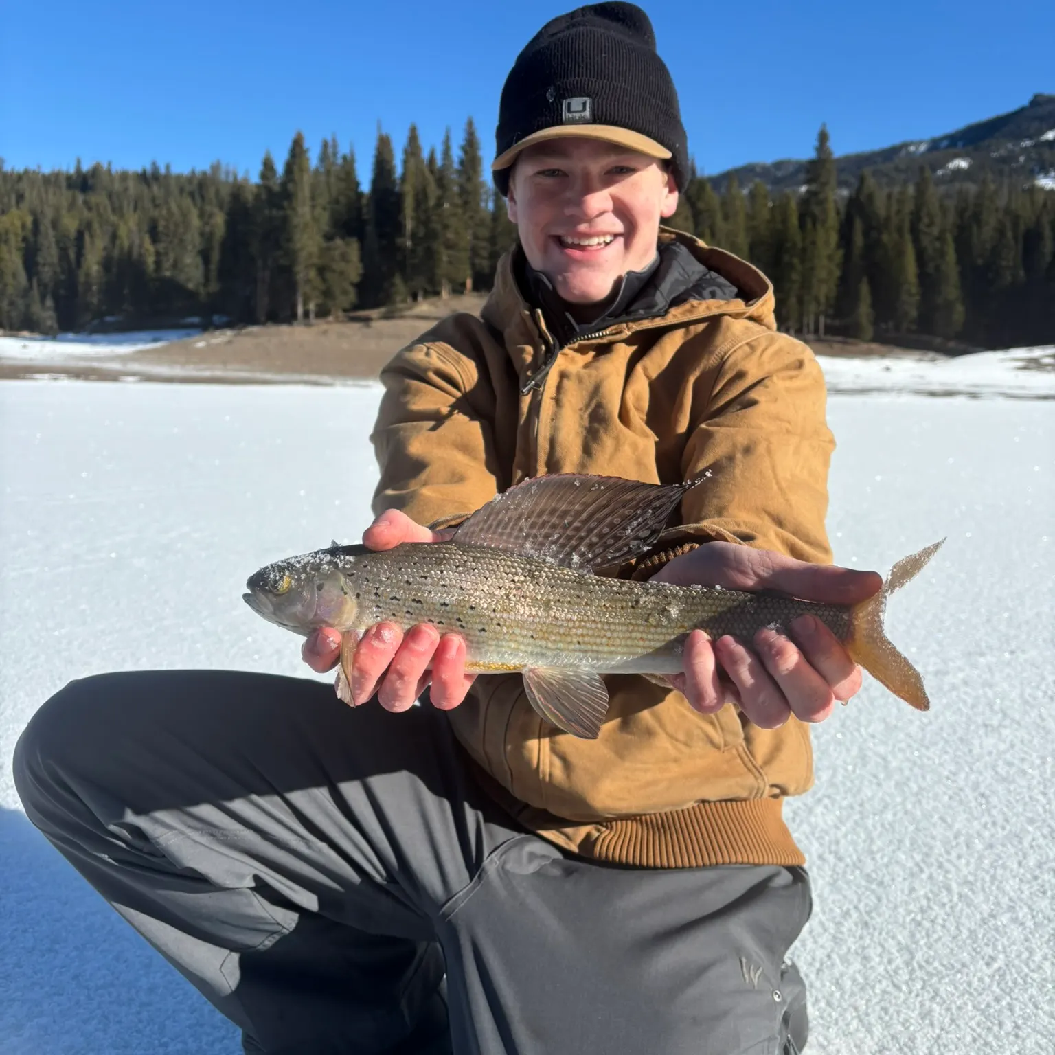 The most recent Arctic grayling catches on Fishbrain