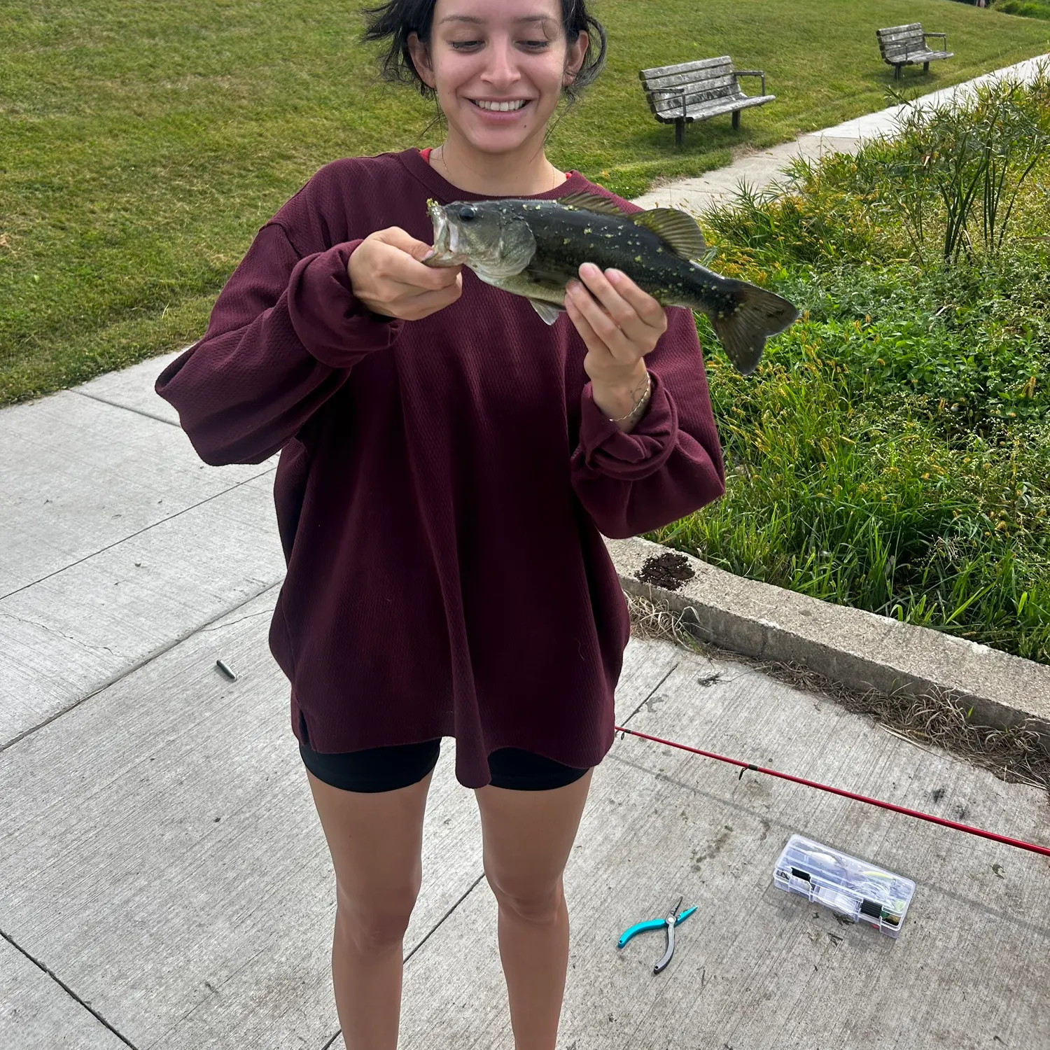 Largemouth bass caught on Fishbrain