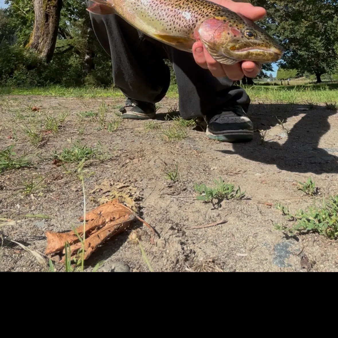 The most recent Coastal cutthroat trout catches on Fishbrain