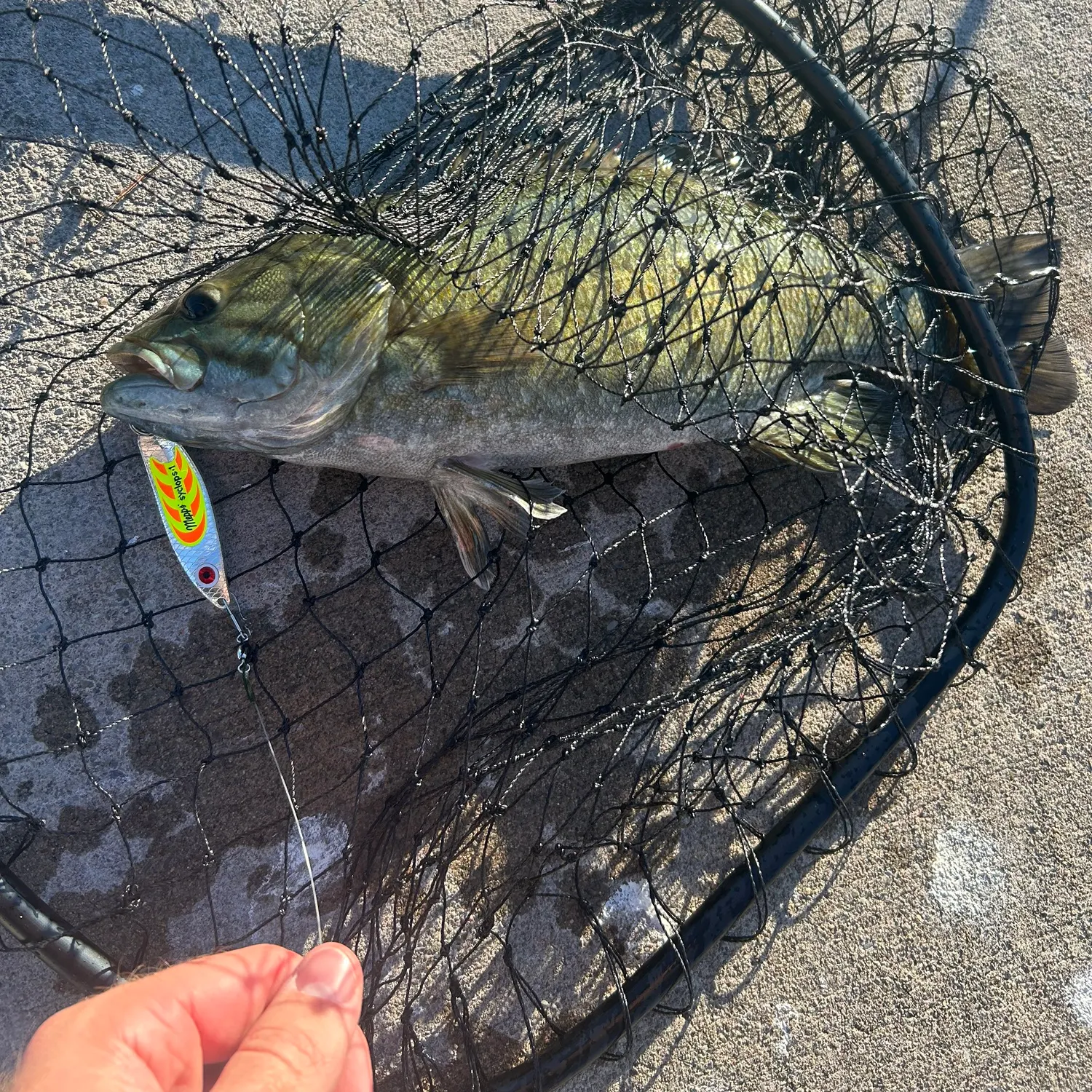 catch