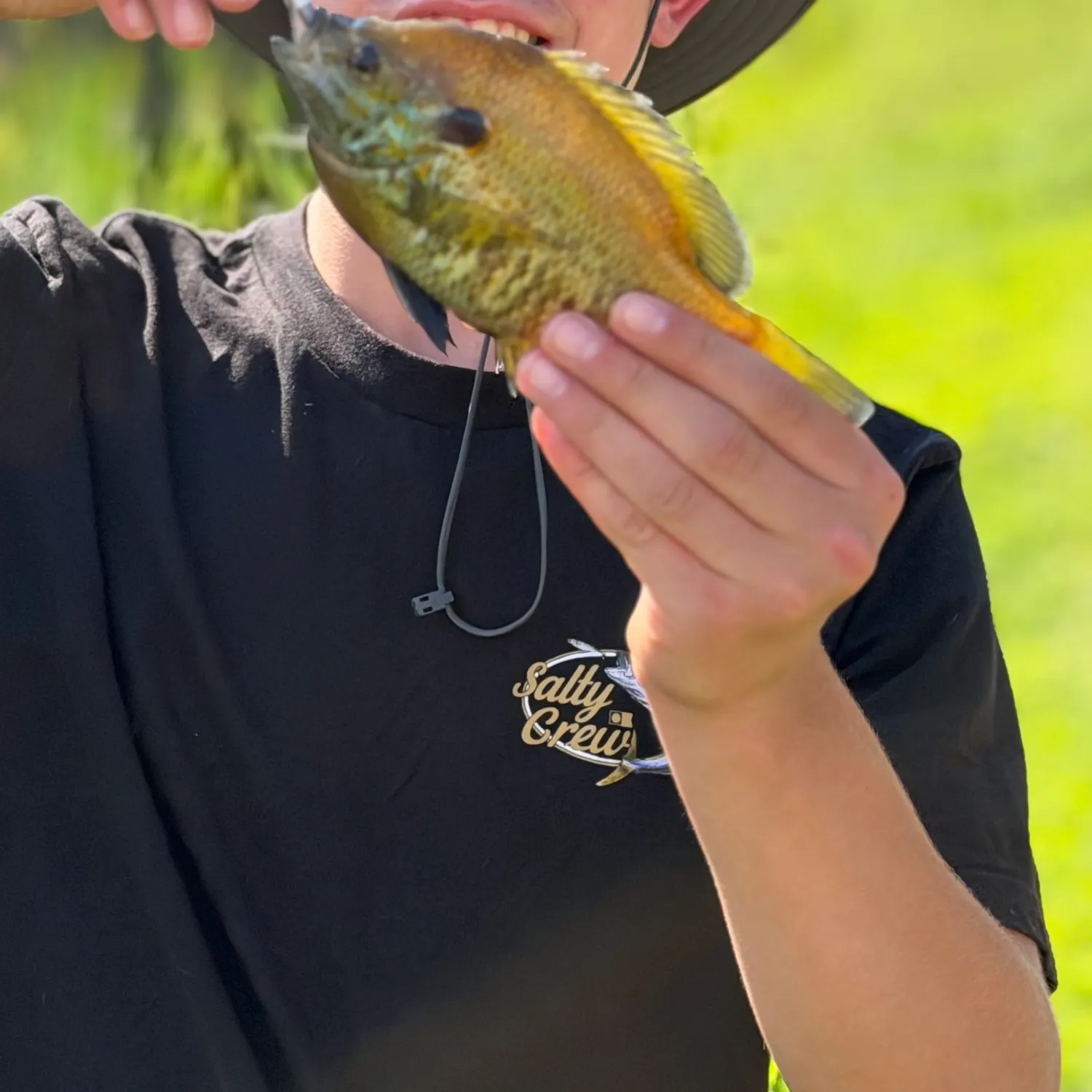 Redear sunfish caught on Fishbrain