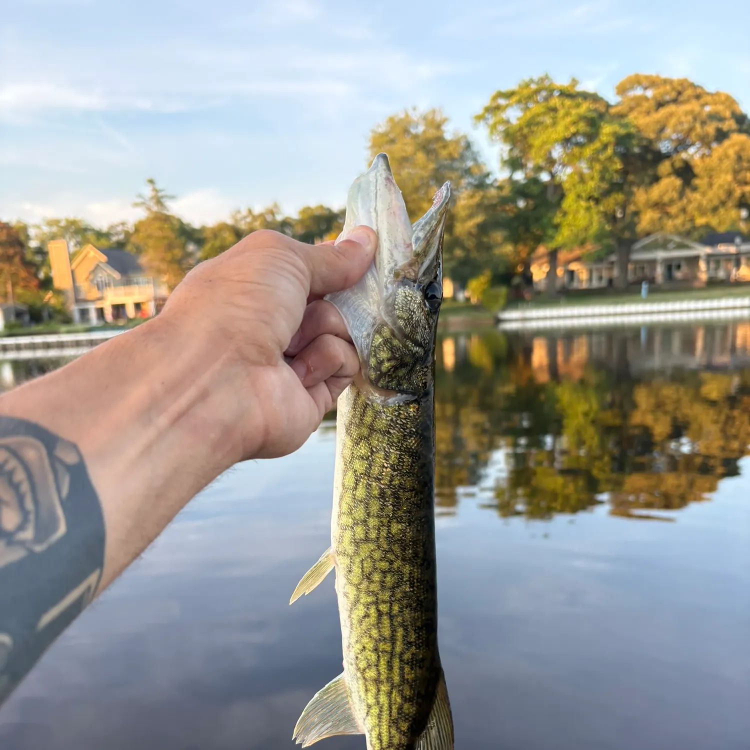 catch